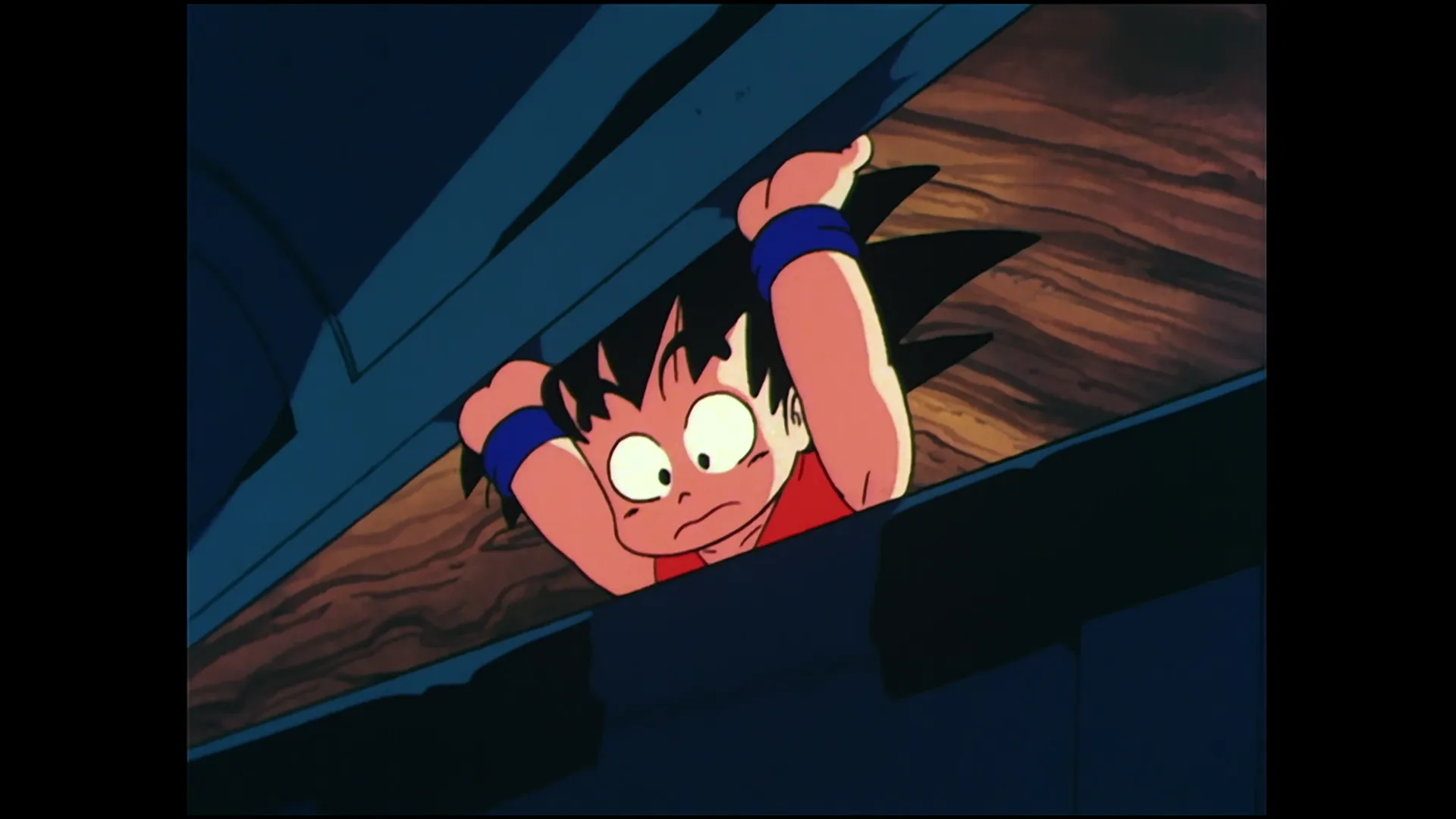 Blue black and blue — capture 27 sur 30 (Dragon Ball)