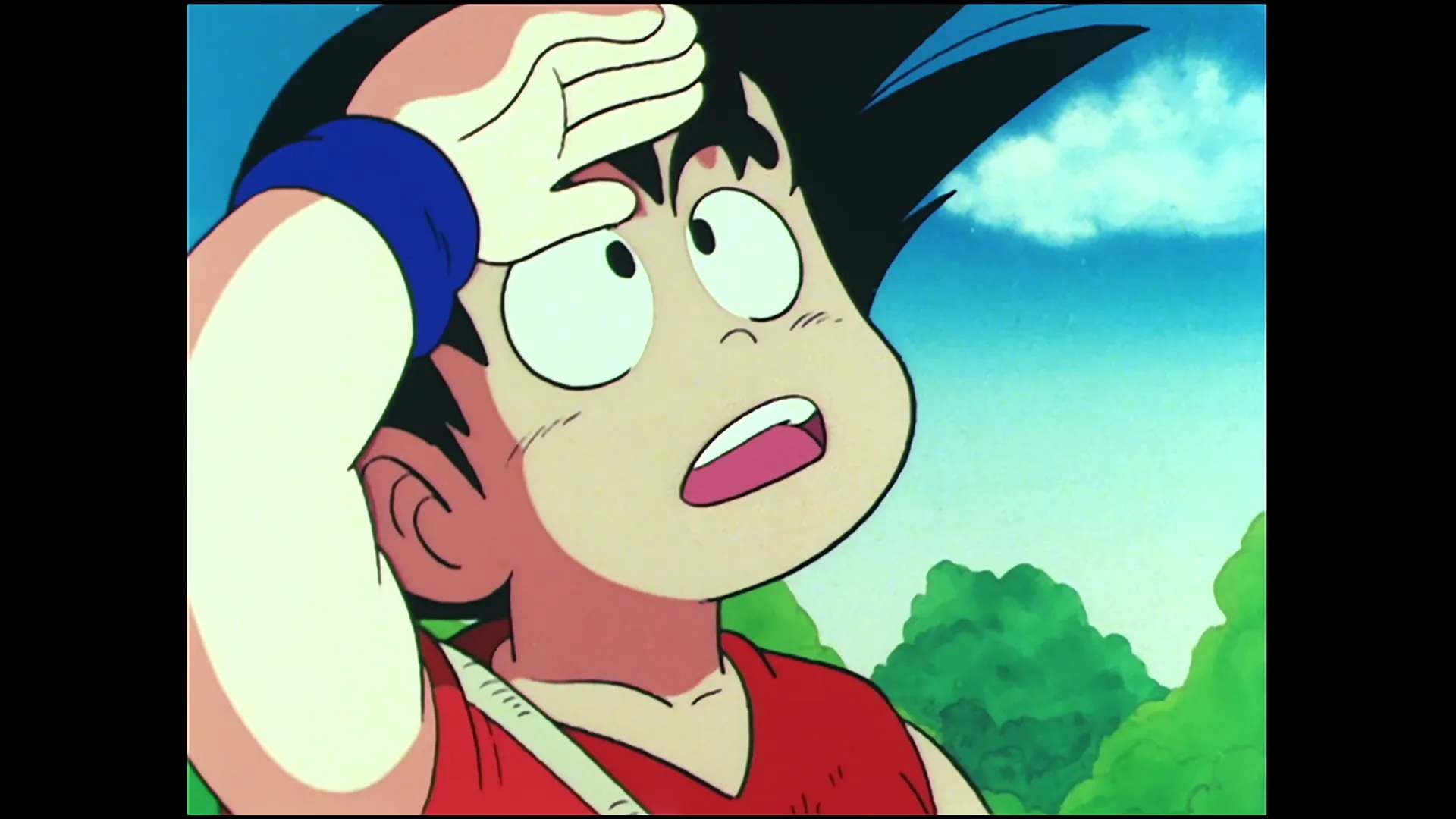 Tao attacks — capture 25 sur 30 (Dragon Ball)