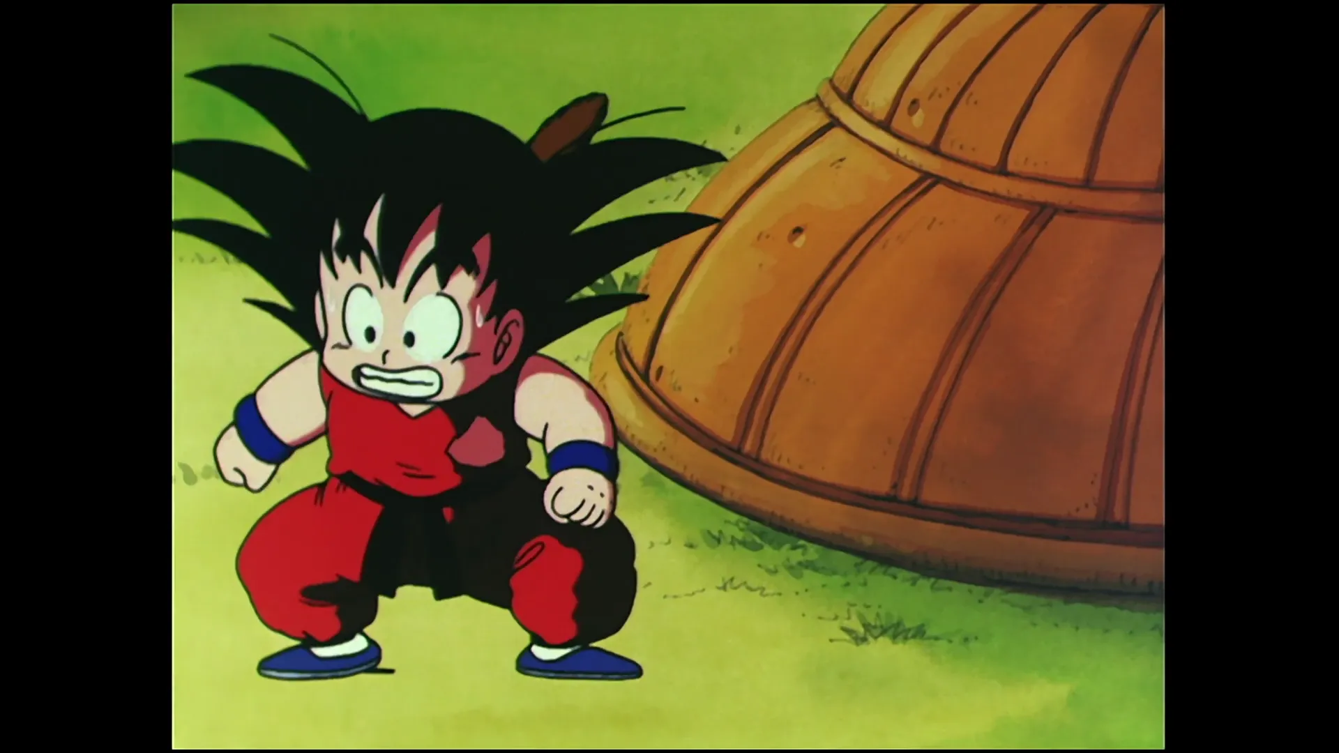 Sacred water — capture 10 sur 30 (Dragon Ball)