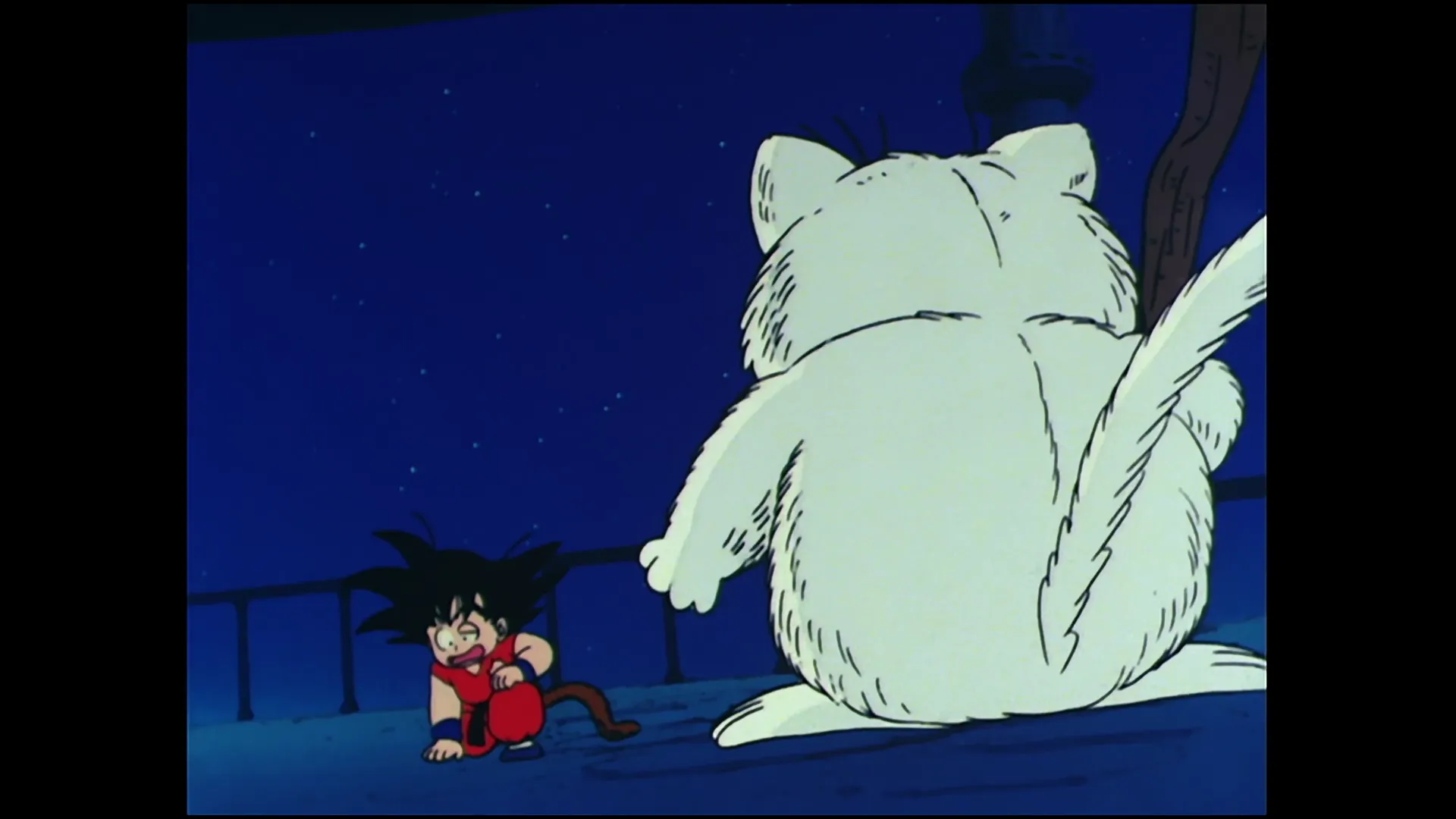 Sacred water — capture 20 sur 30 (Dragon Ball)