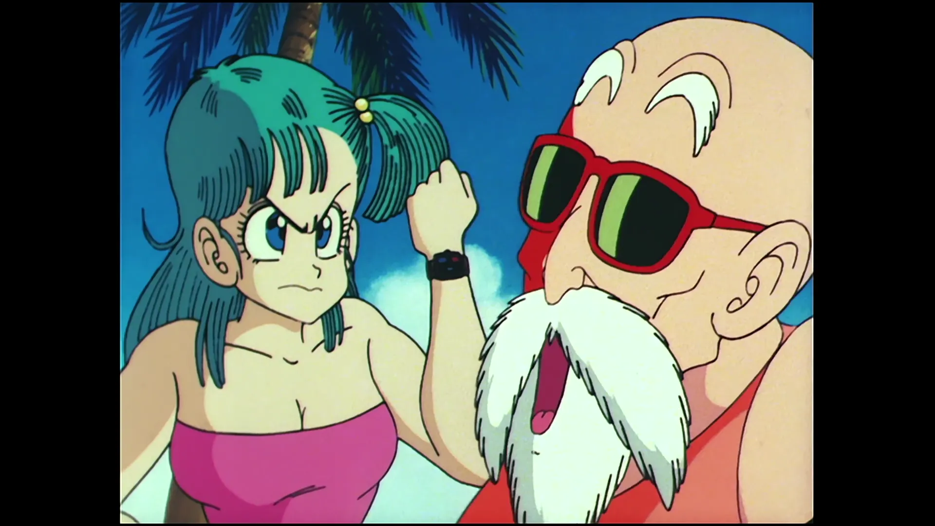 The return of goku — capture 19 sur 30 (Dragon Ball)