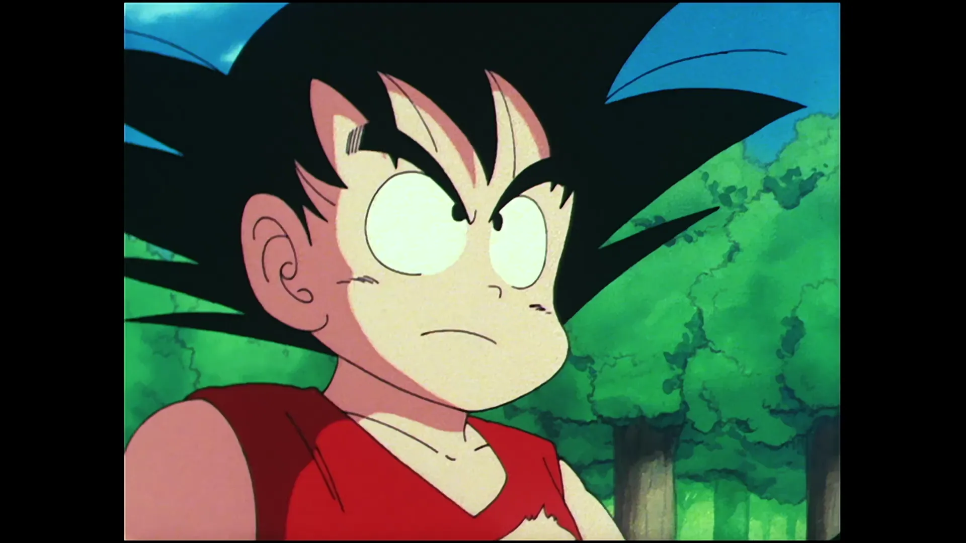 The return of goku — capture 24 sur 30 (Dragon Ball)