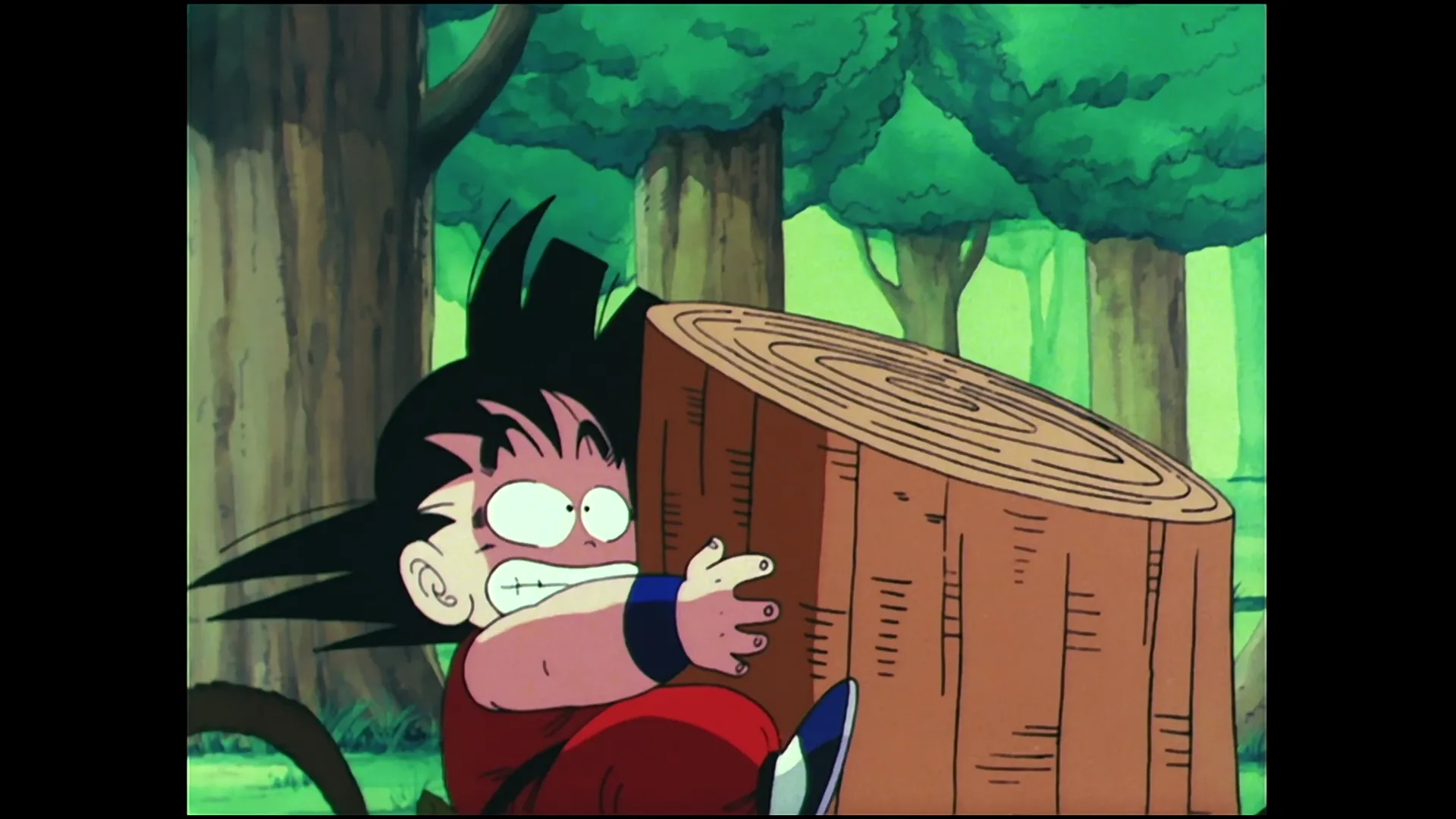 The return of goku — capture 25 sur 30 (Dragon Ball)