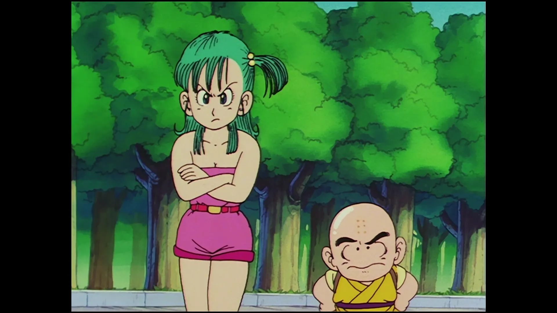 The last dragon ball — capture 22 sur 30 (Dragon Ball)