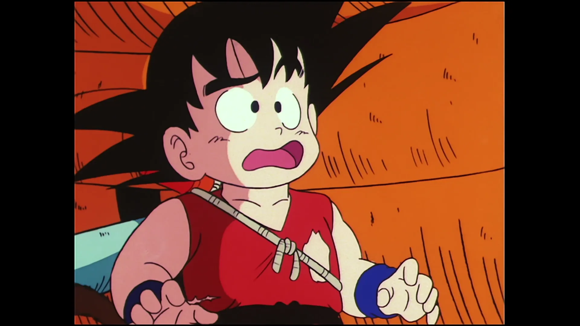 Who is fortuneteller baba — capture 11 sur 30 (Dragon Ball)