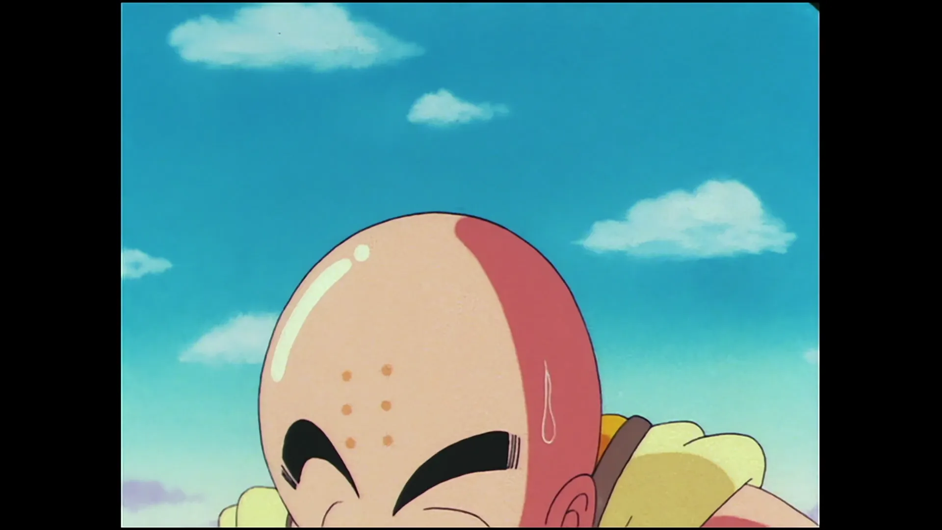 We are the five warriors — capture 6 sur 30 (Dragon Ball)