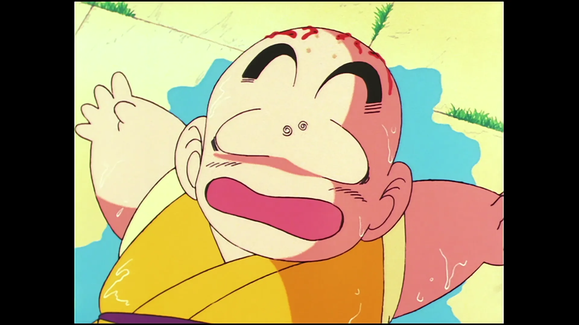 We are the five warriors — capture 13 sur 30 (Dragon Ball)