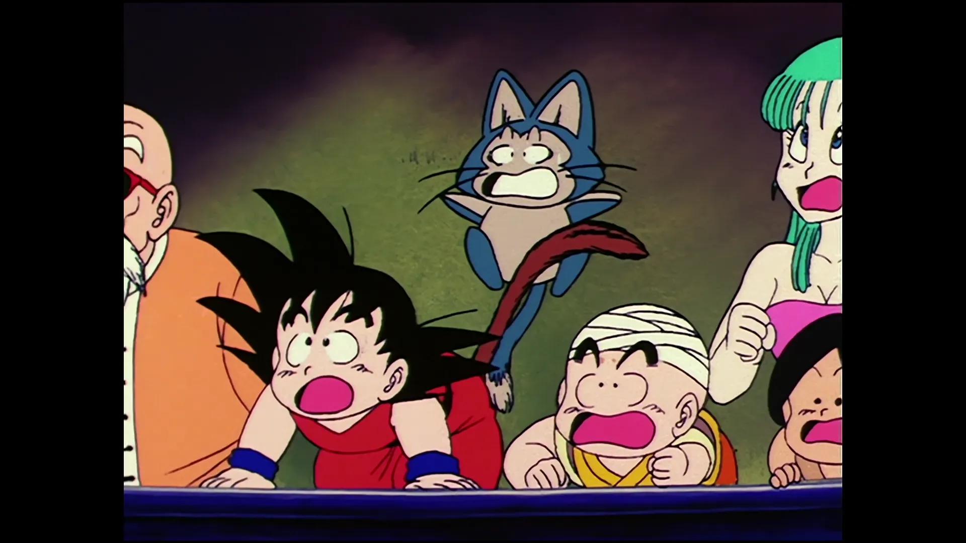 Gokus turn — capture 17 sur 30 (Dragon Ball)