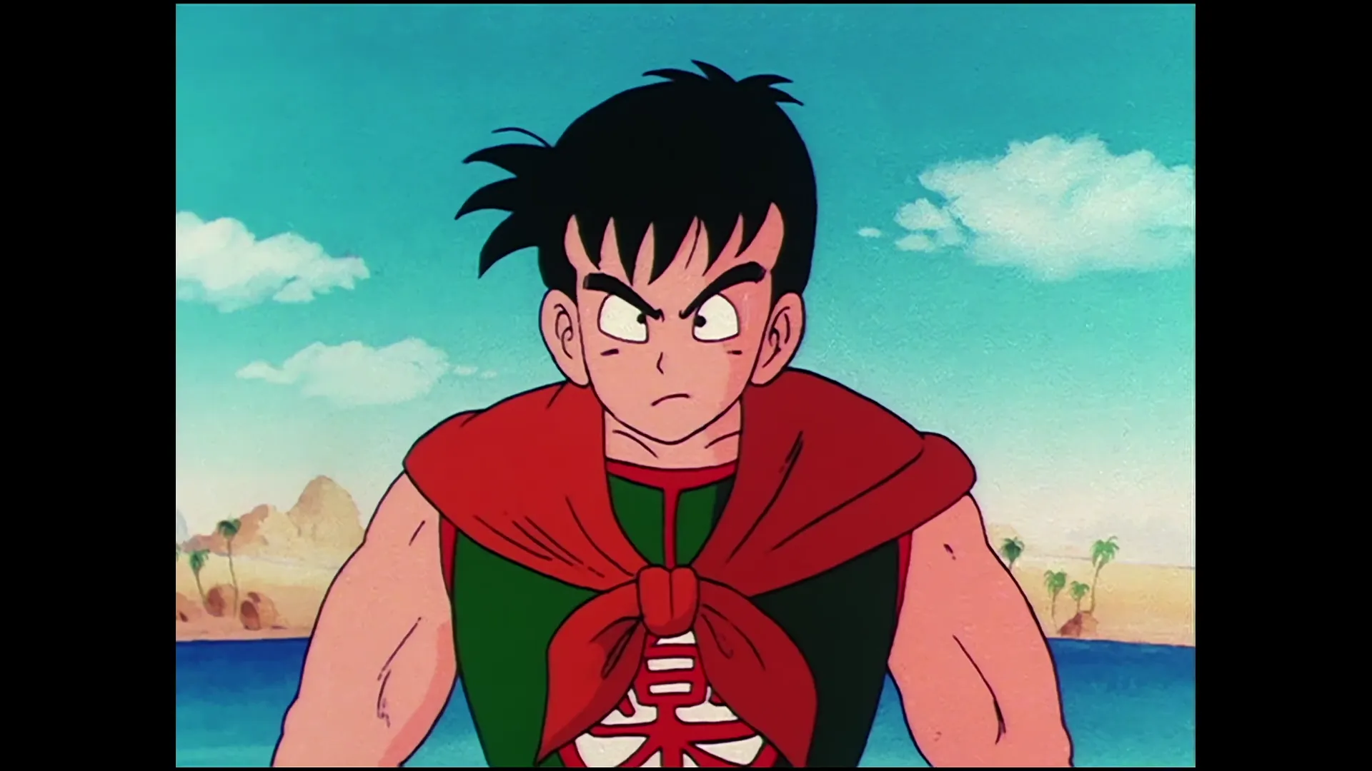 The true colors of the masked man — capture 10 sur 30 (Dragon Ball)
