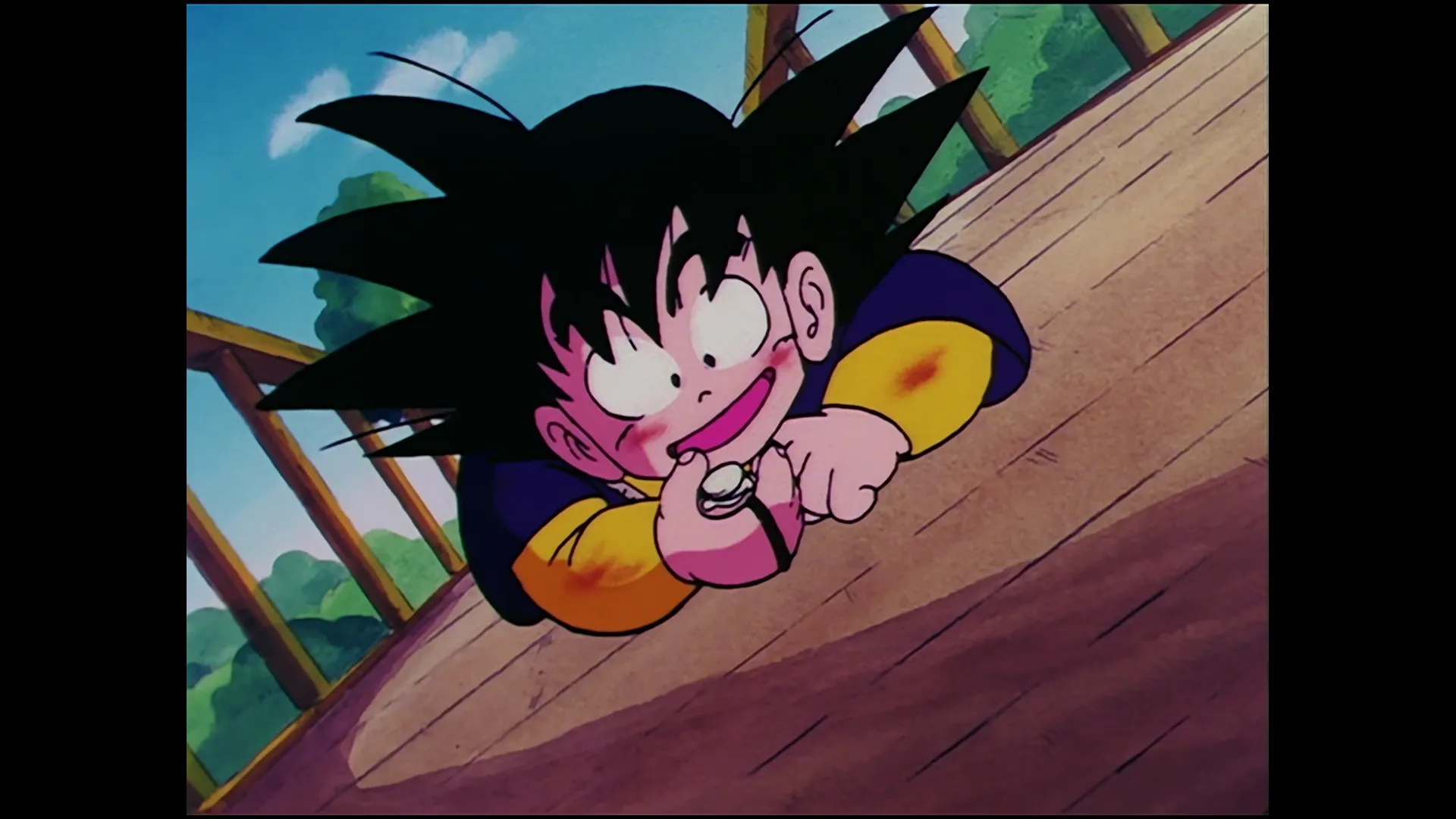 Goku vs sky dragon — capture 18 sur 30 (Dragon Ball)
