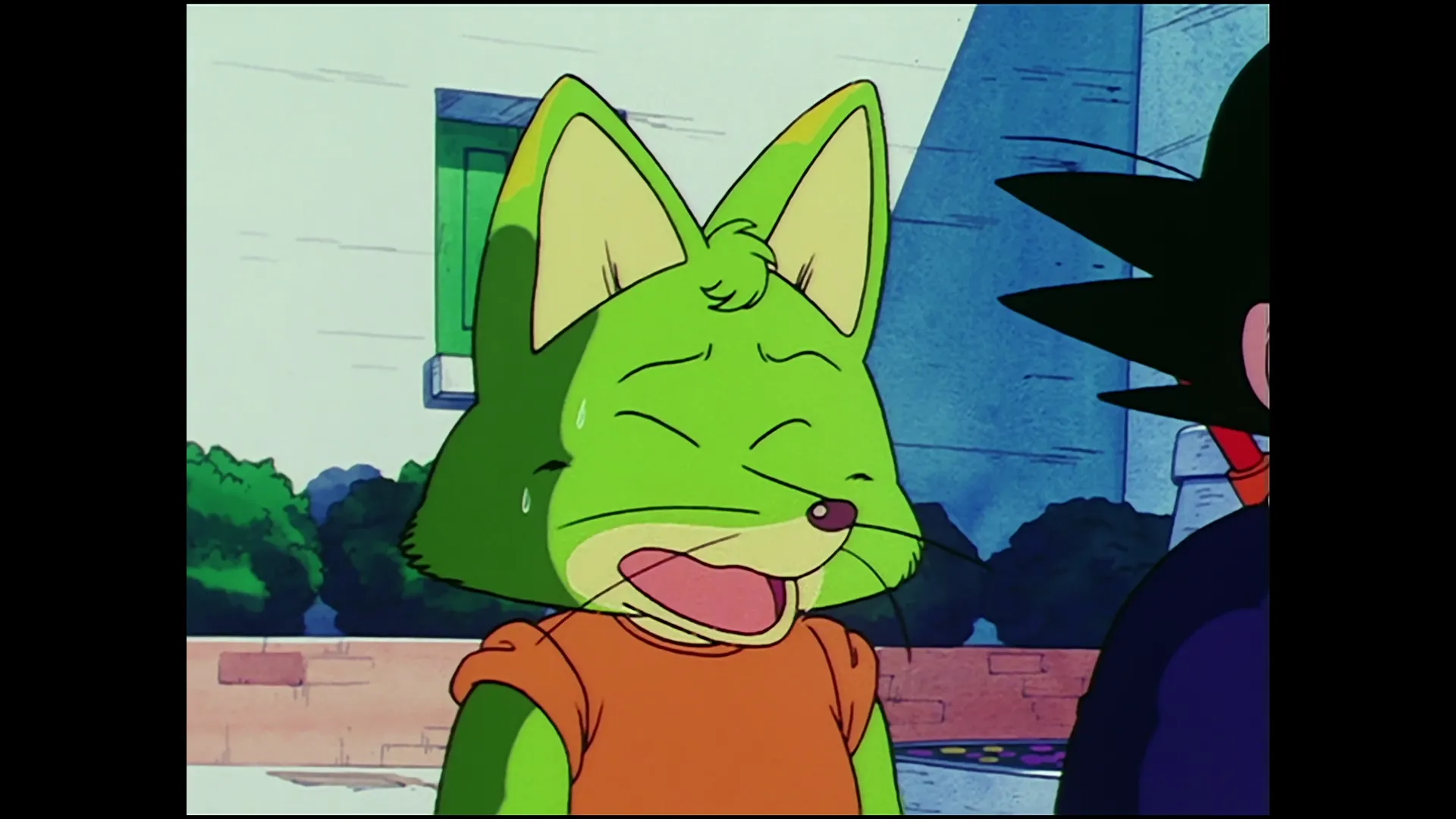 Which way to papaya island — capture 18 sur 30 (Dragon Ball)
