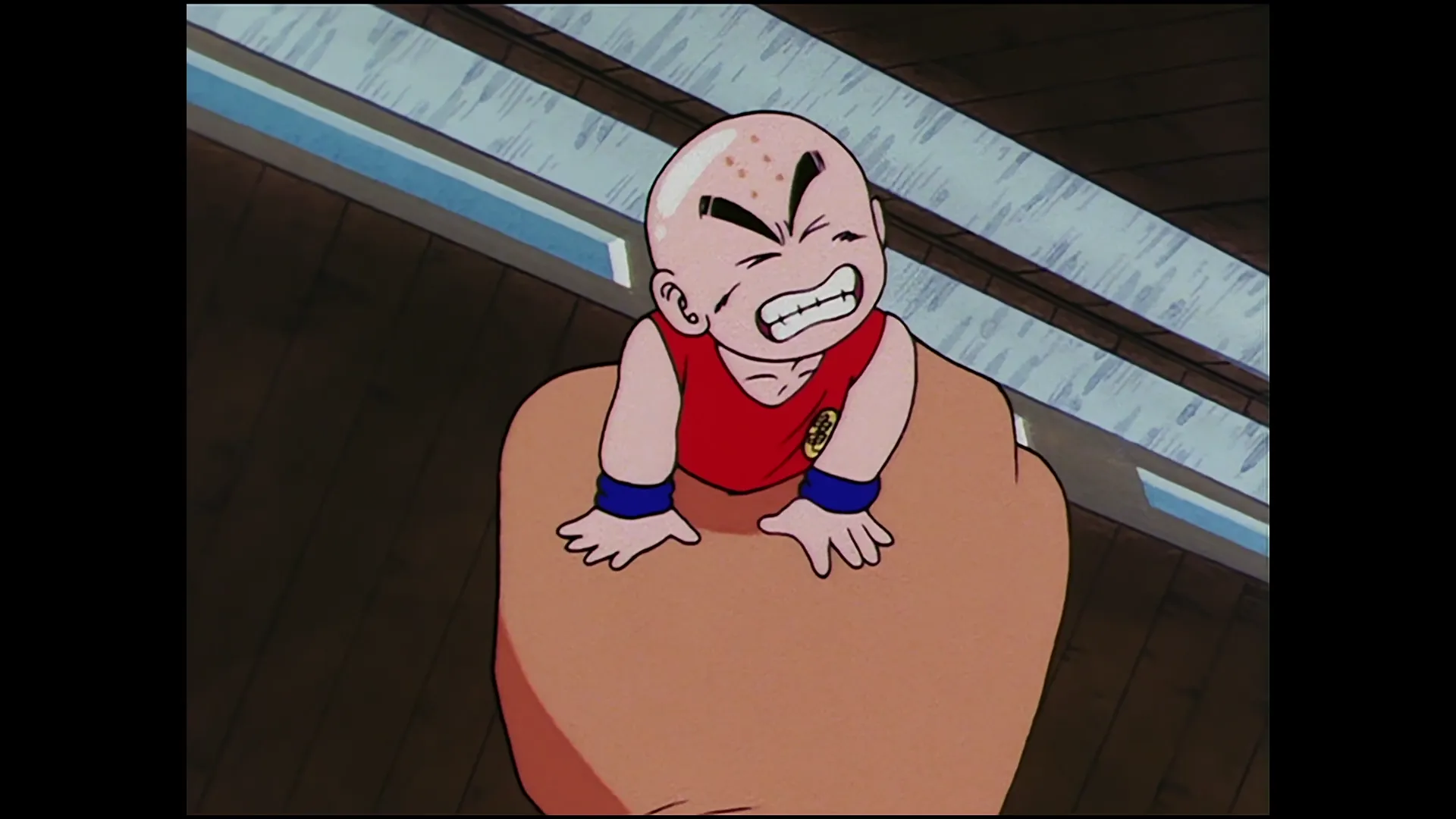 Preliminary peril — capture 13 sur 30 (Dragon Ball)