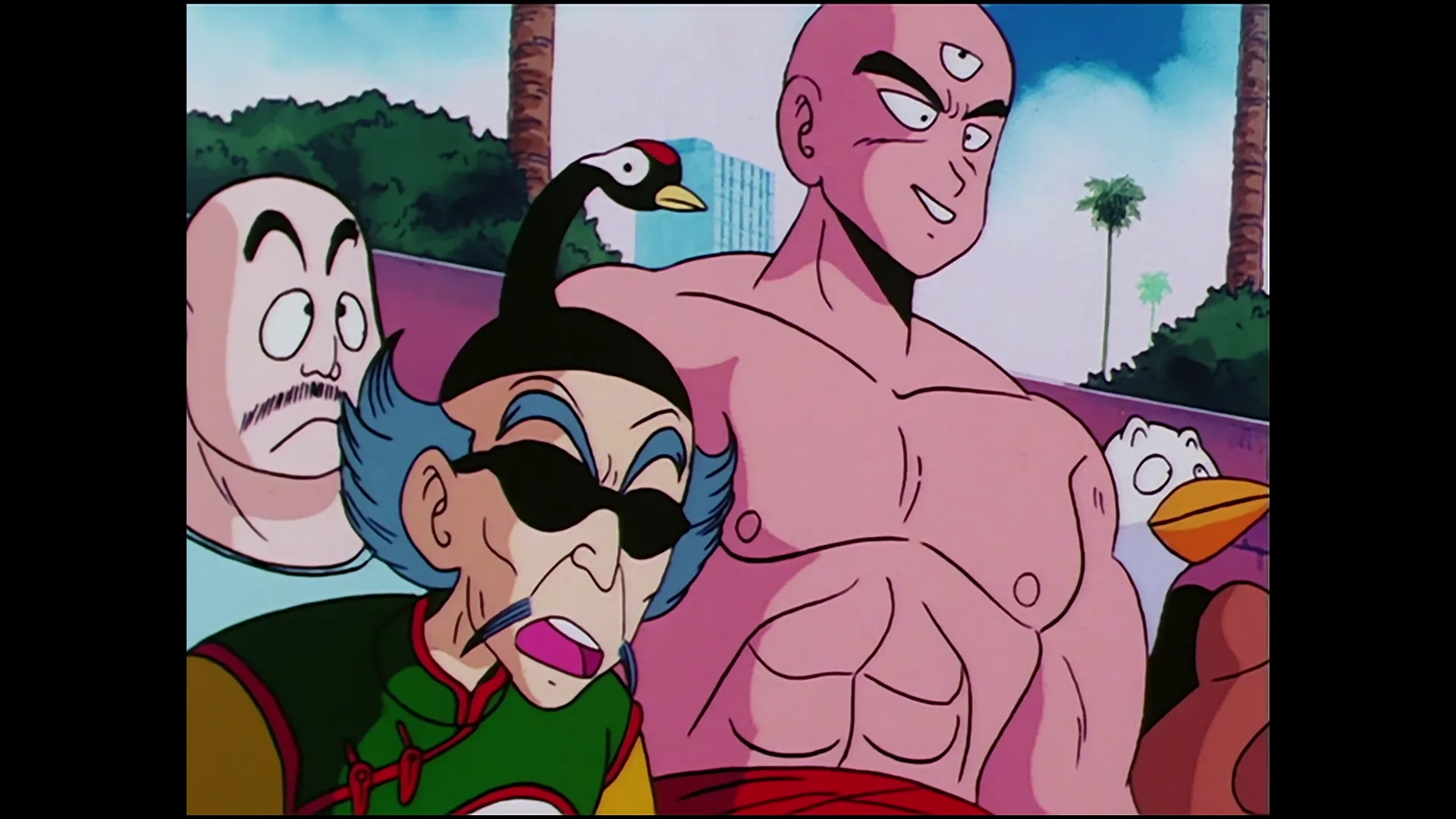 Counting controversy — capture 19 sur 30 (Dragon Ball)