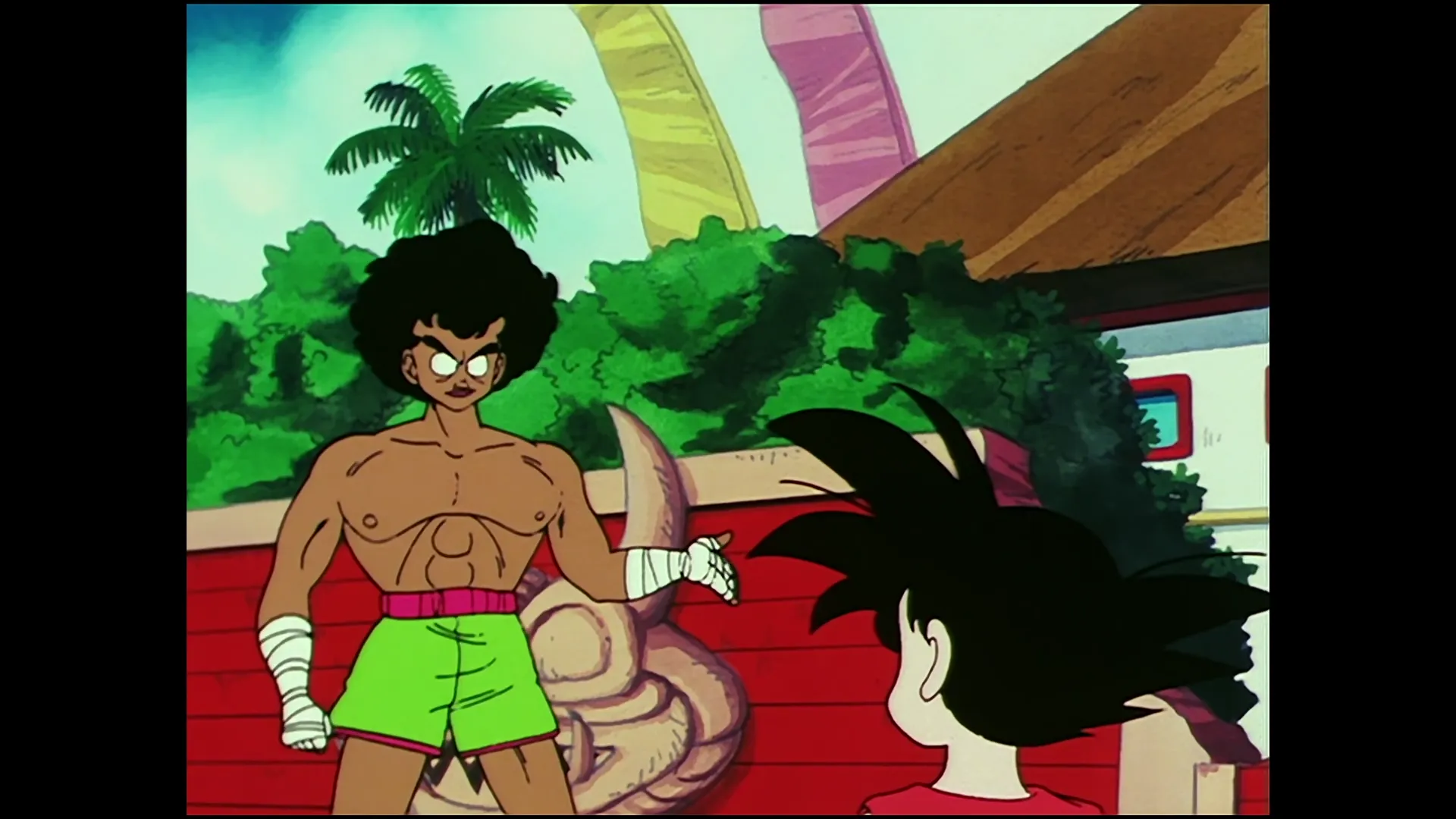 Goku enters the ring — capture 28 sur 30 (Dragon Ball)