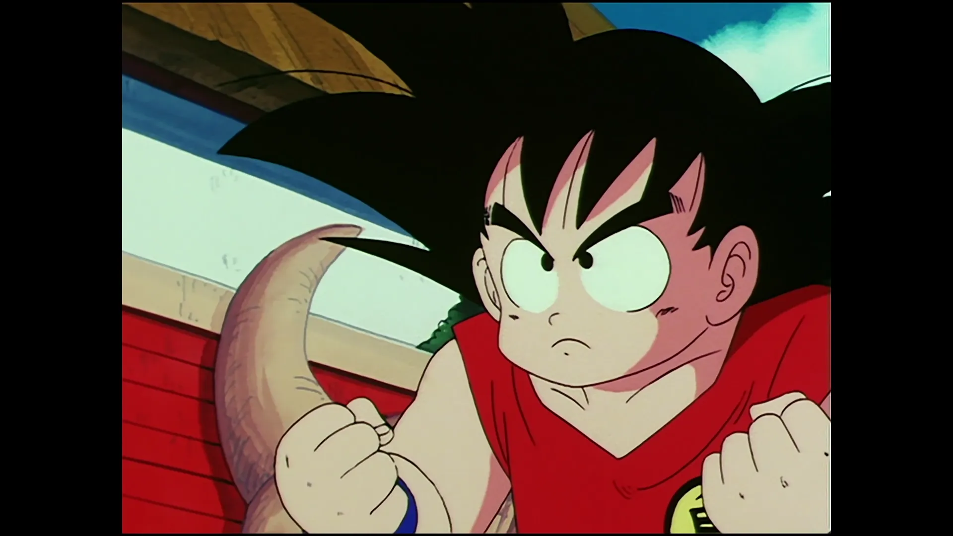 Goku enters the ring — capture 29 sur 30 (Dragon Ball)