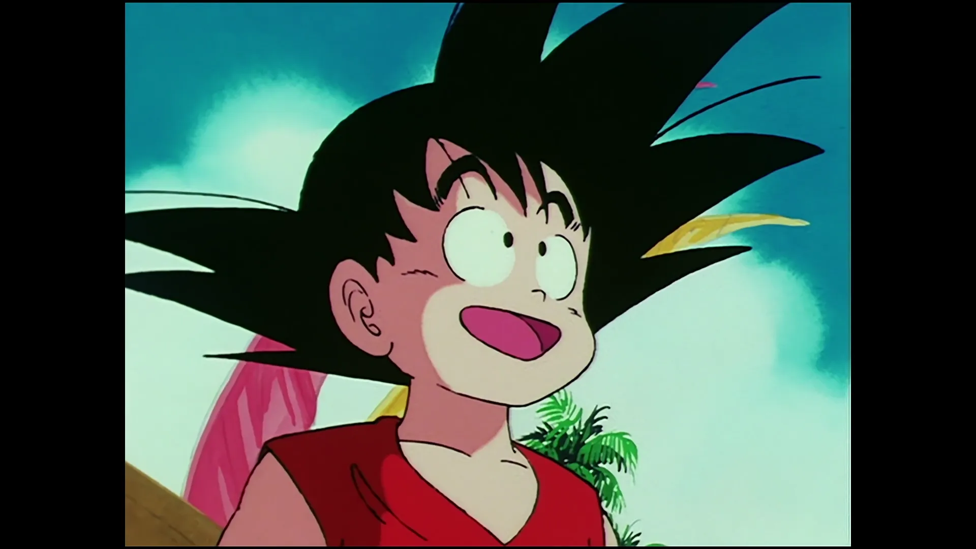 Goku enters the ring — capture 30 sur 30 (Dragon Ball)