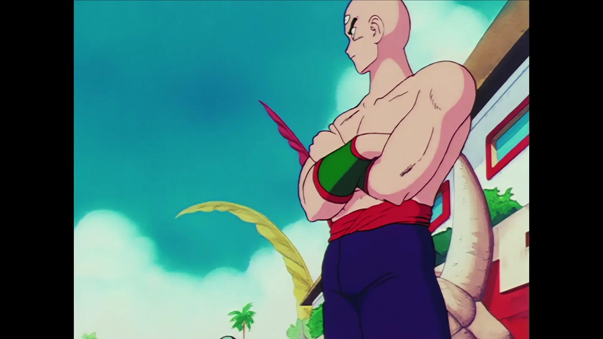 Tien shinhan vs jackie chun — capture 18 sur 30 (Dragon Ball)
