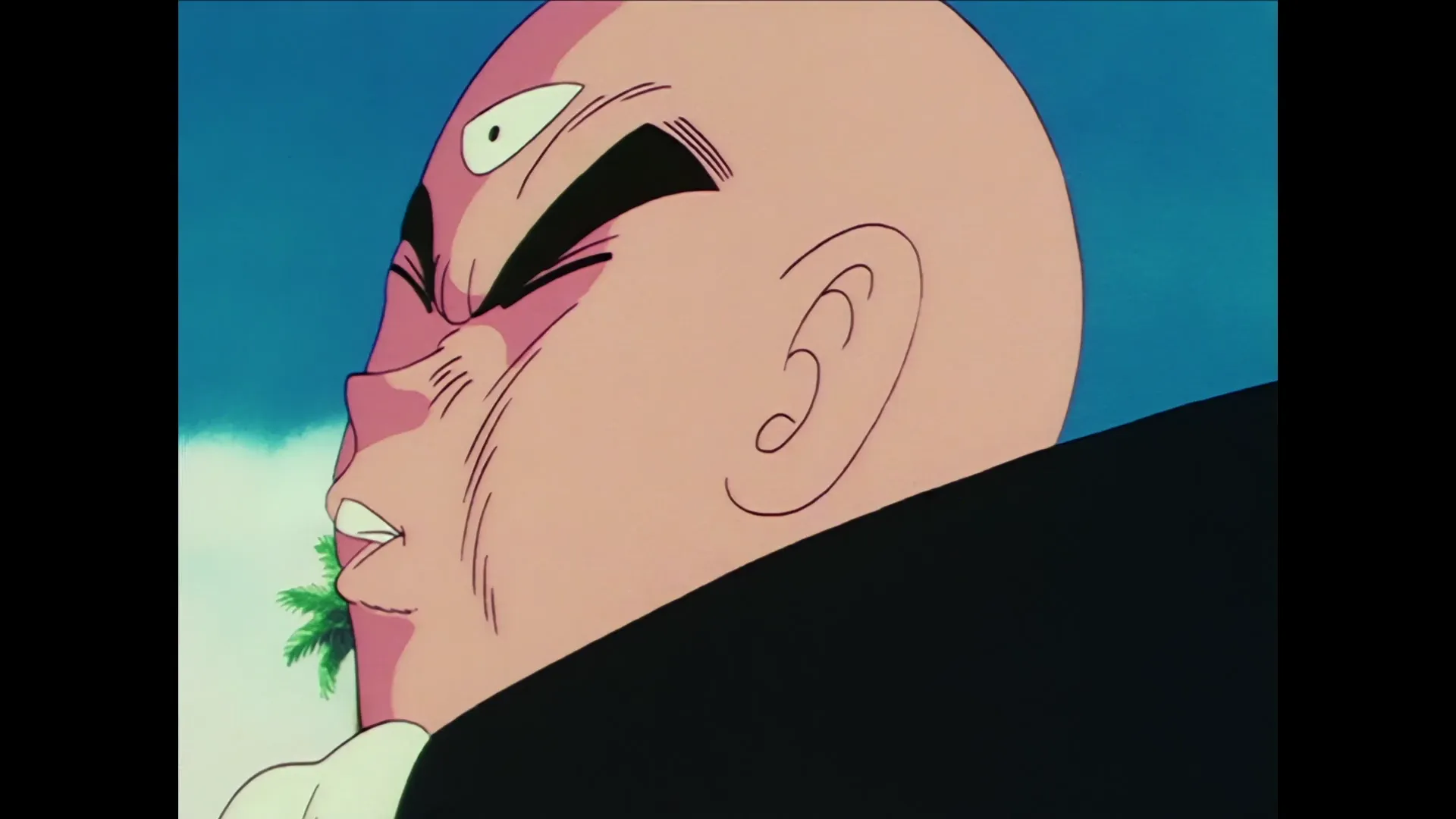 Tien shinhan vs jackie chun — capture 25 sur 30 (Dragon Ball)