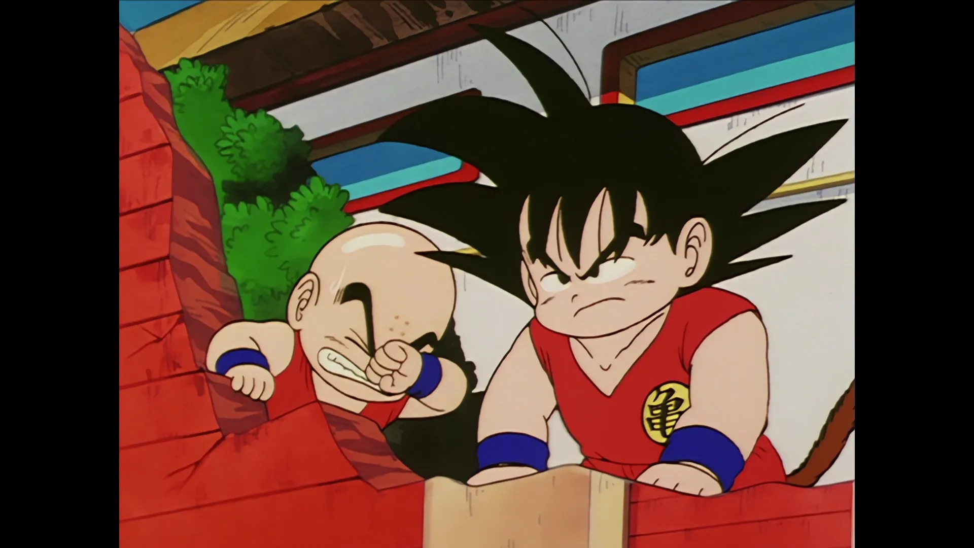 Stepping down — capture 18 sur 30 (Dragon Ball)