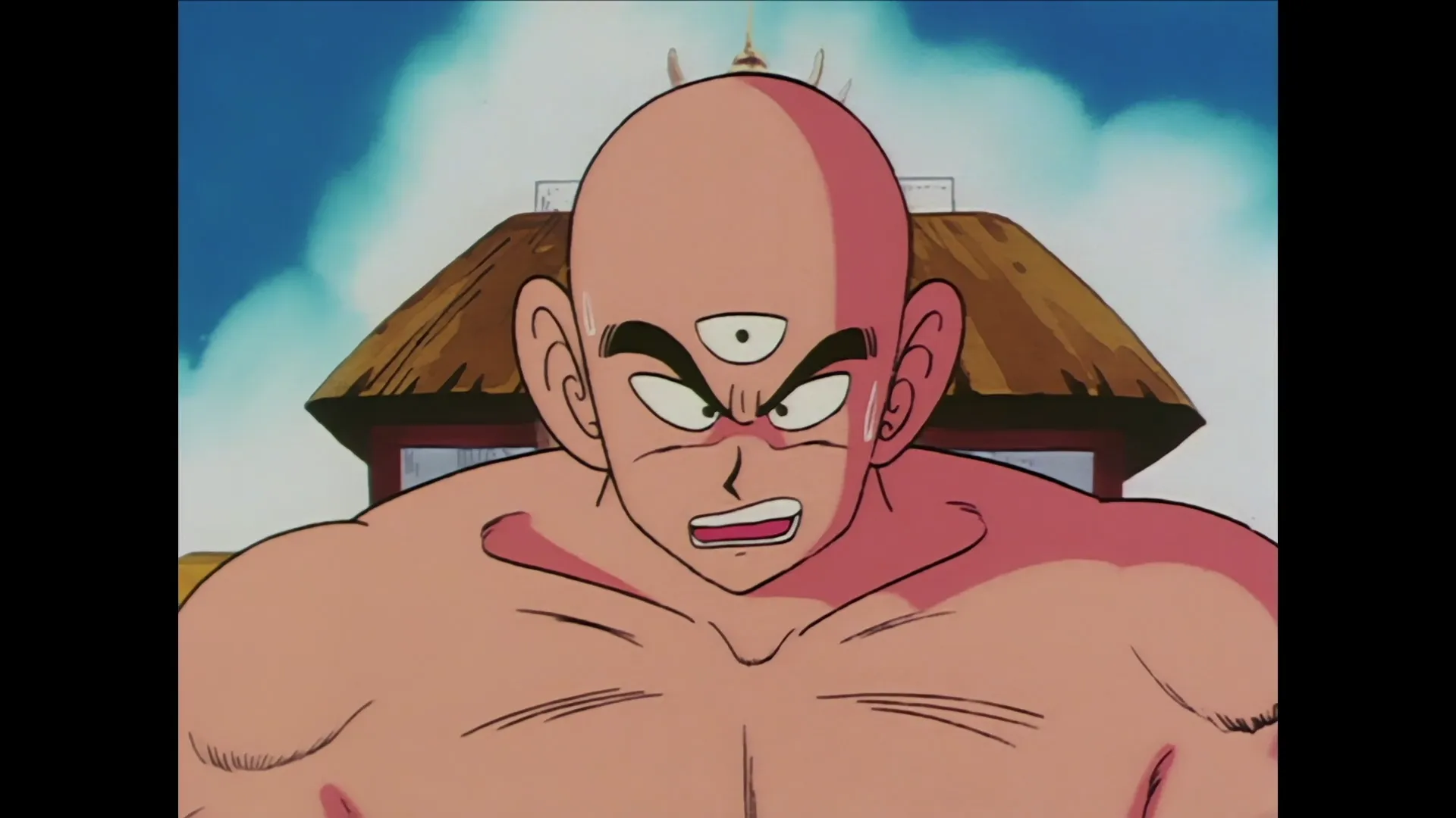 Stepping down — capture 25 sur 30 (Dragon Ball)