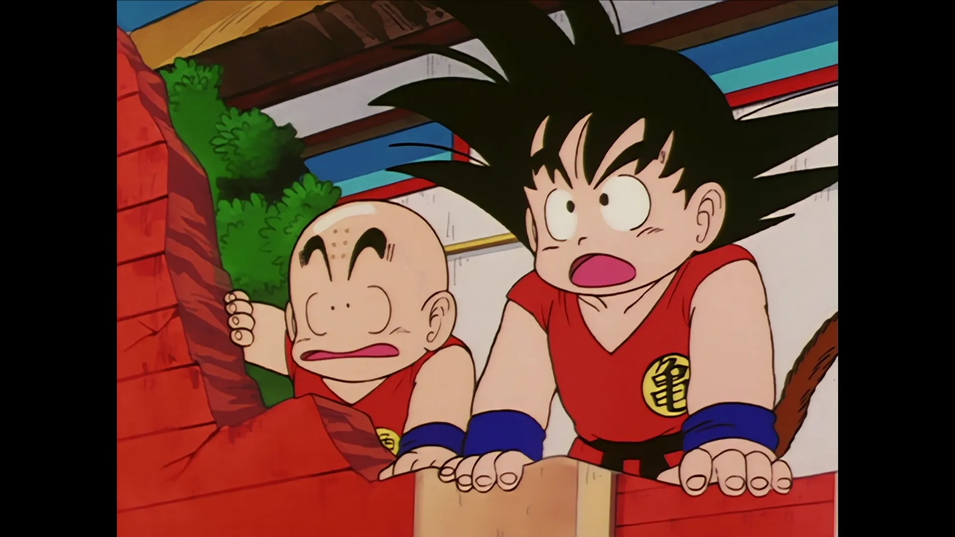 Stepping down — capture 28 sur 30 (Dragon Ball)