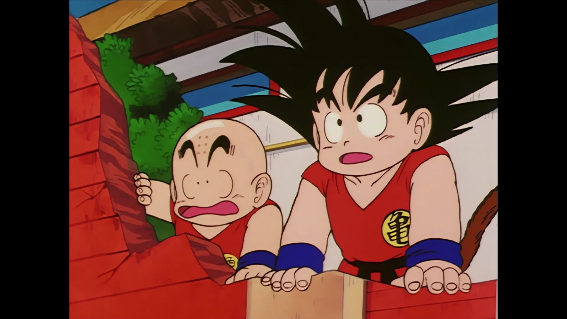Stepping down — capture 29 sur 30 (Dragon Ball)