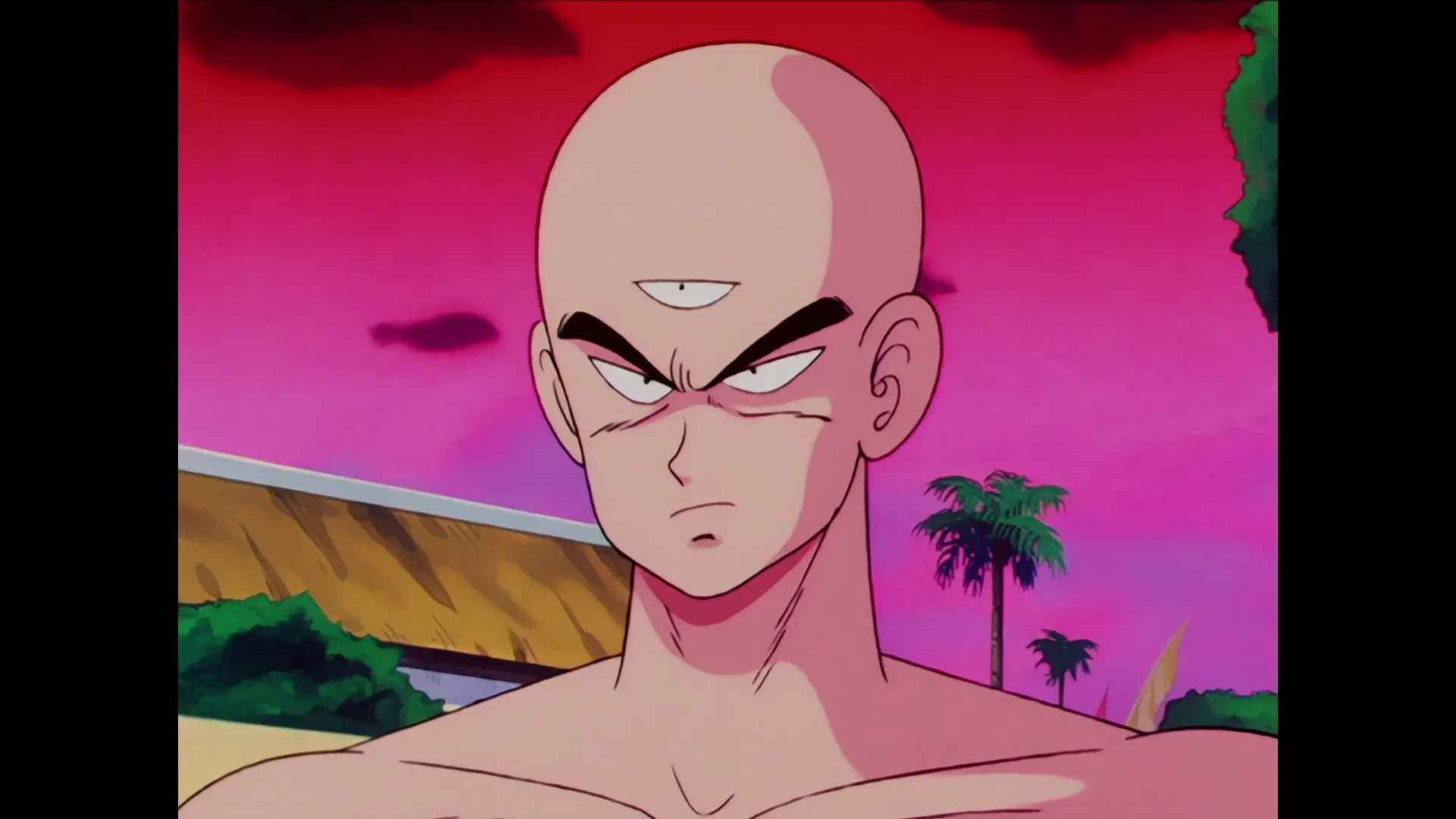 Goku vs krillin — capture 17 sur 30 (Dragon Ball)