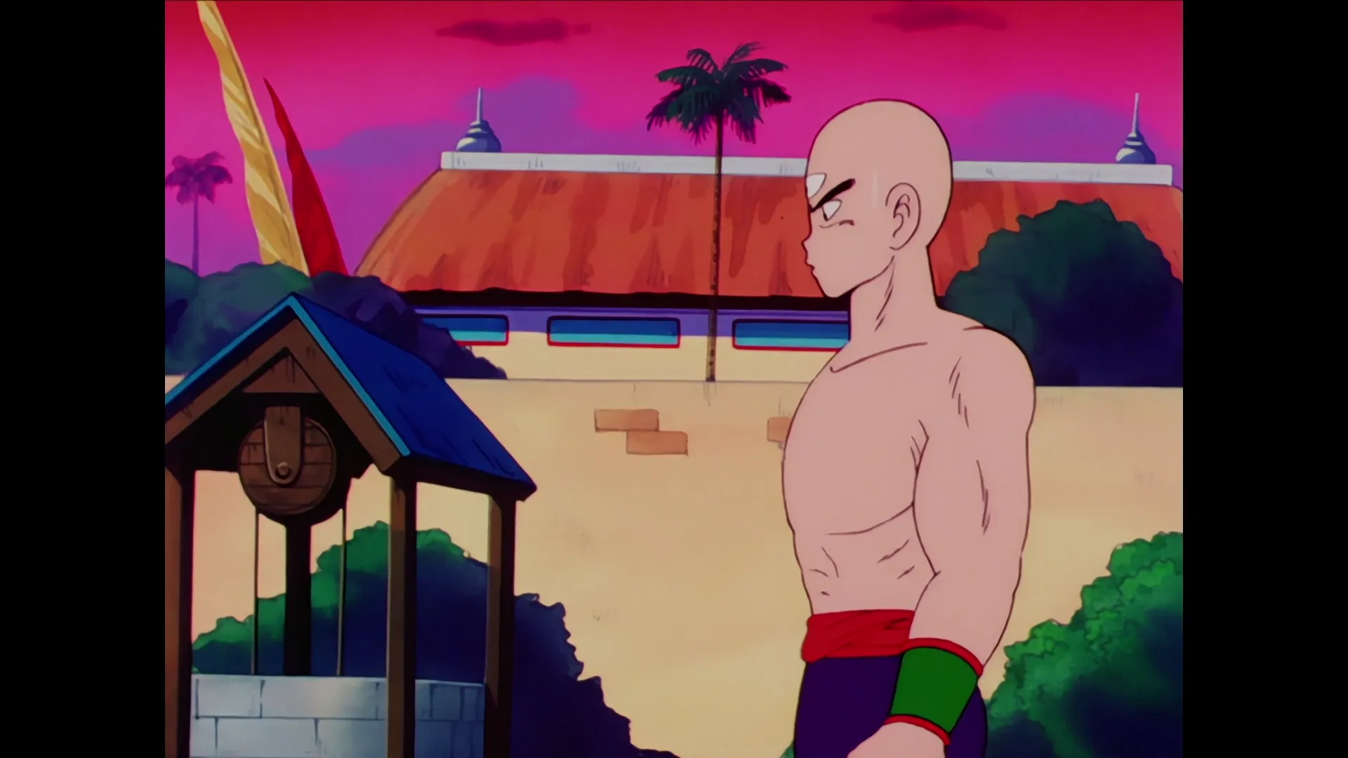 Goku vs krillin — capture 18 sur 30 (Dragon Ball)