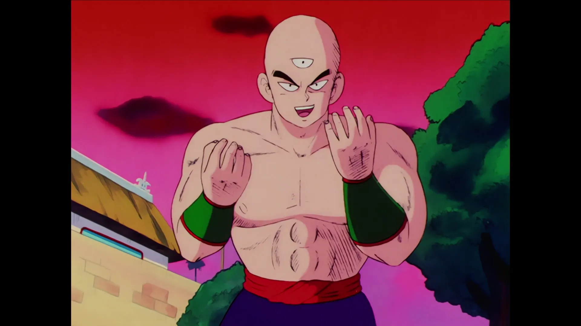 Goku vs krillin — capture 24 sur 30 (Dragon Ball)
