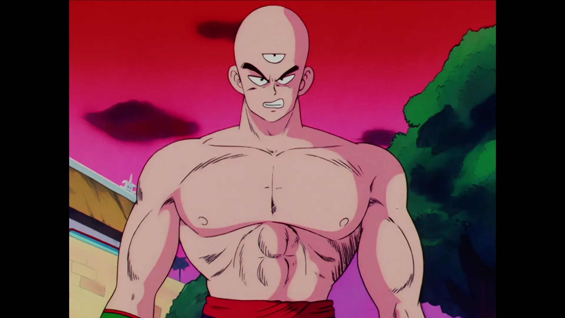 Goku vs krillin — capture 25 sur 30 (Dragon Ball)