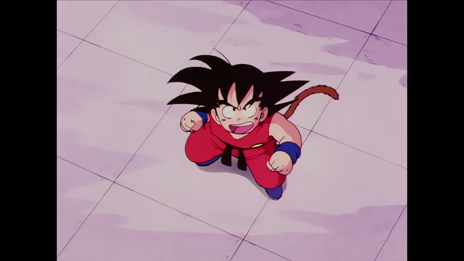 Goku vs krillin — capture 30 sur 30 (Dragon Ball)