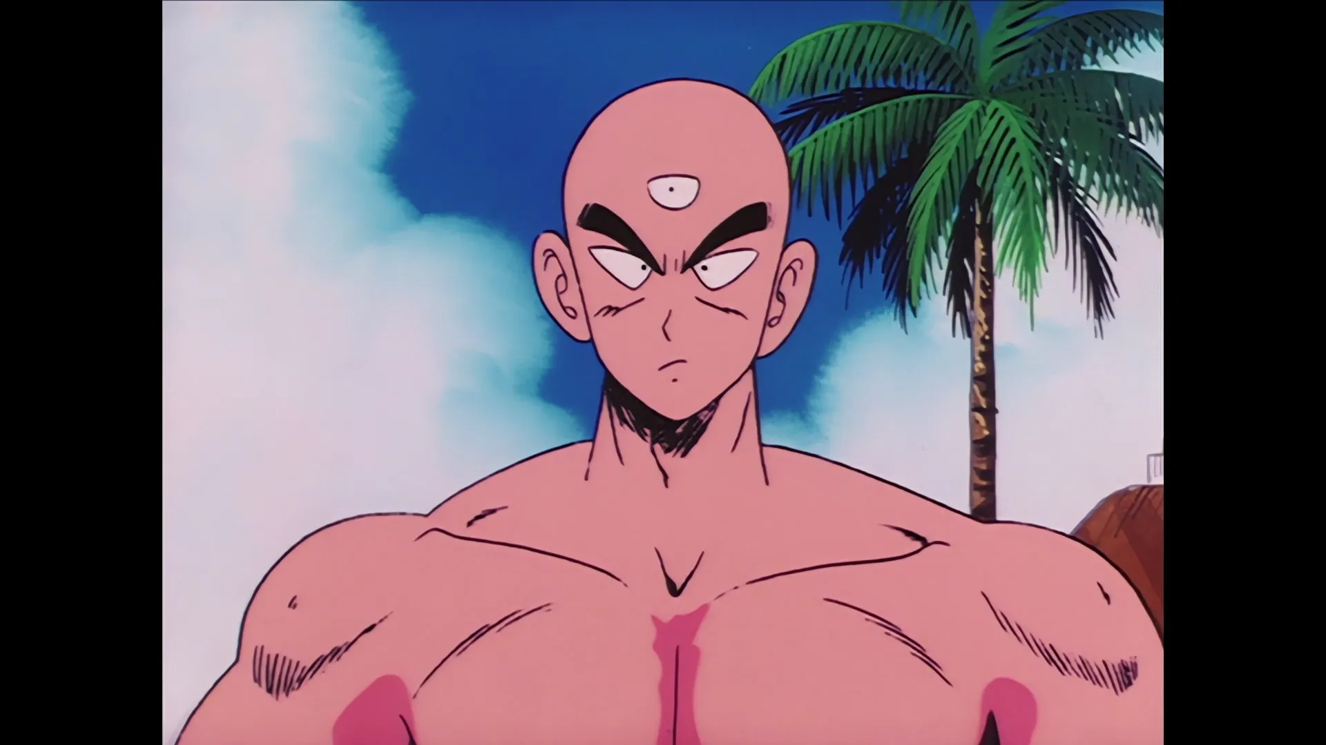 Victorys edge — capture 11 sur 30 (Dragon Ball)