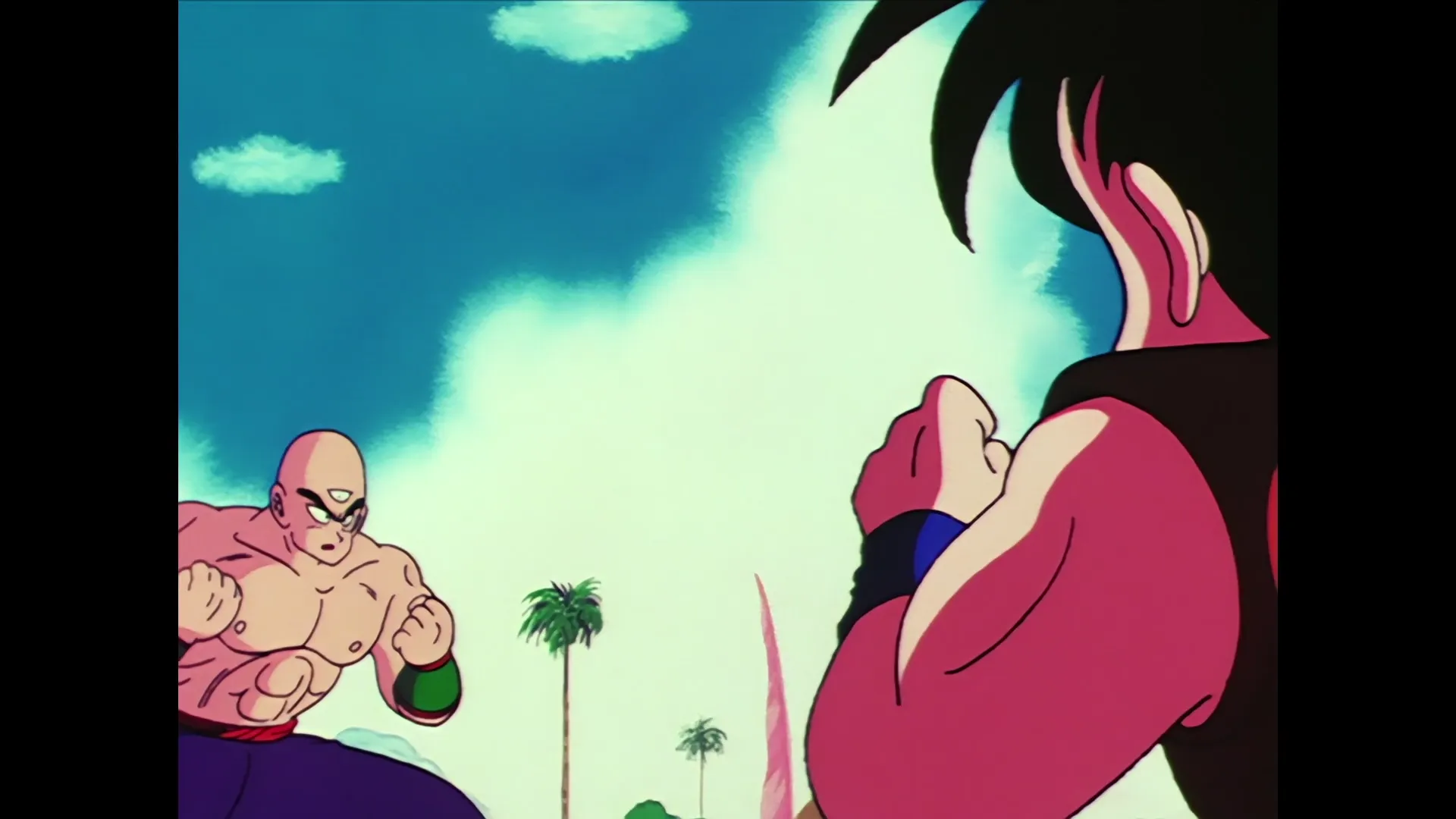 Tiens insurrection — capture 27 sur 30 (Dragon Ball)