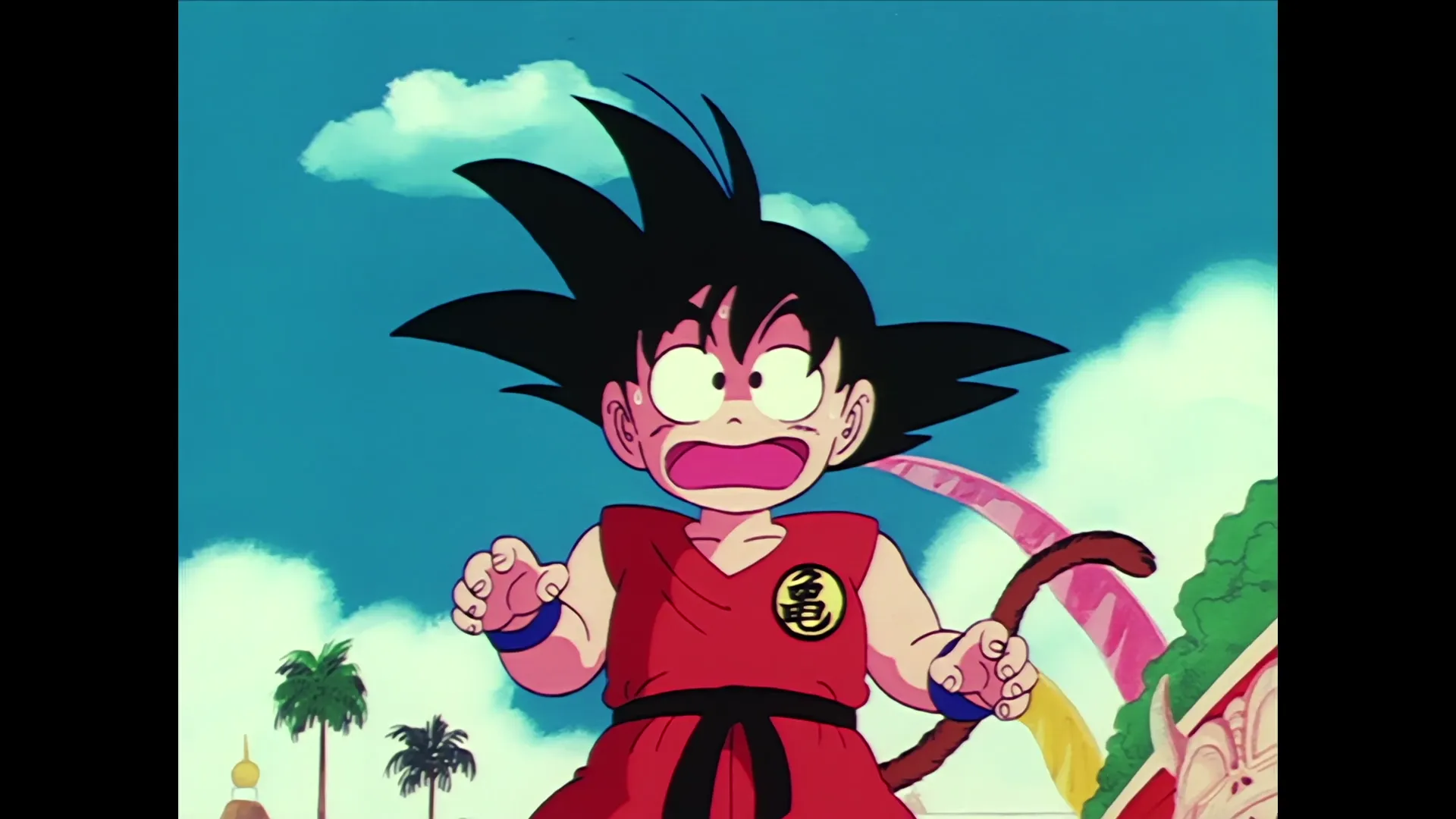 The spirit cannon — capture 2 sur 30 (Dragon Ball)