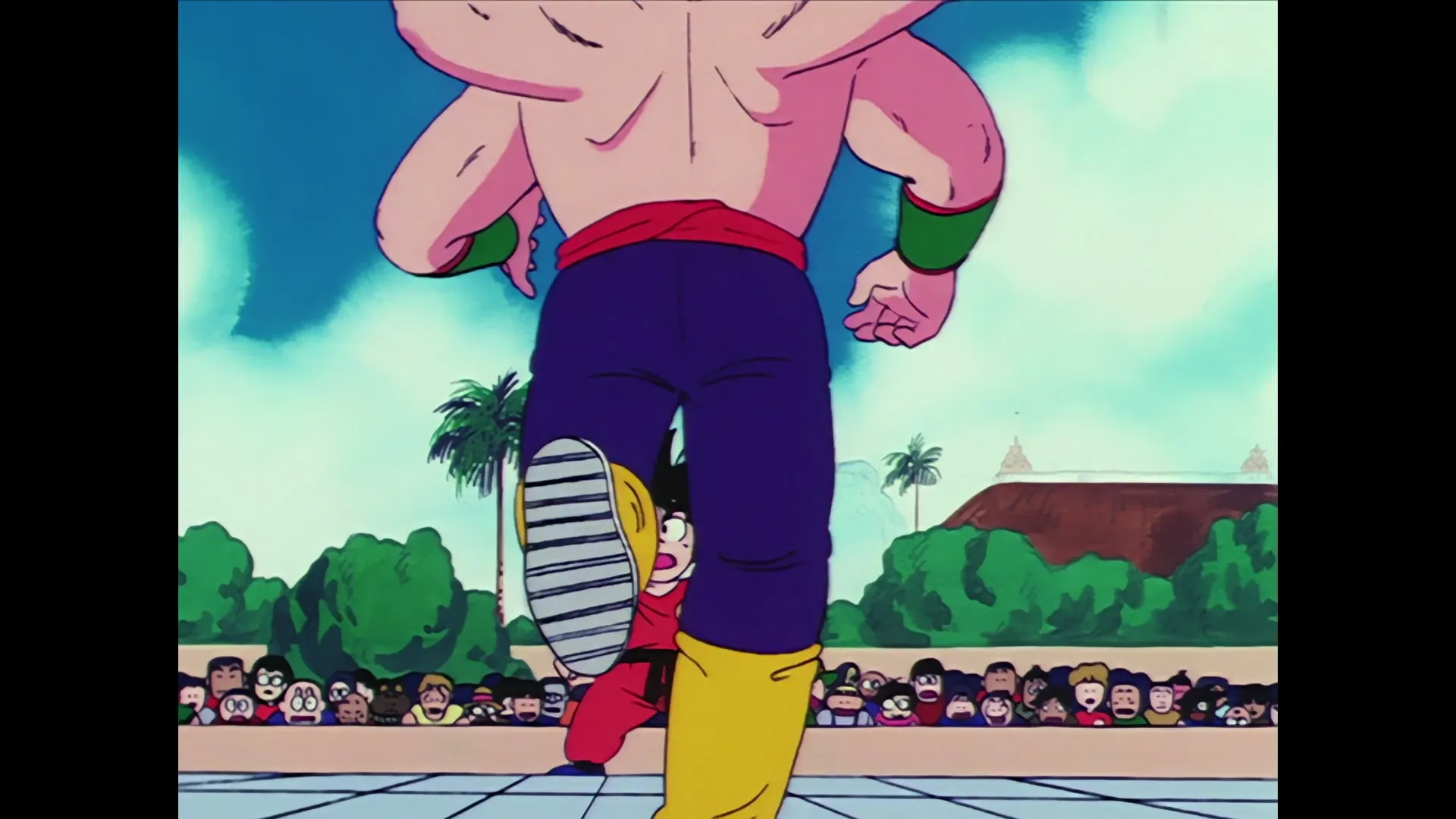 The spirit cannon — capture 3 sur 30 (Dragon Ball)