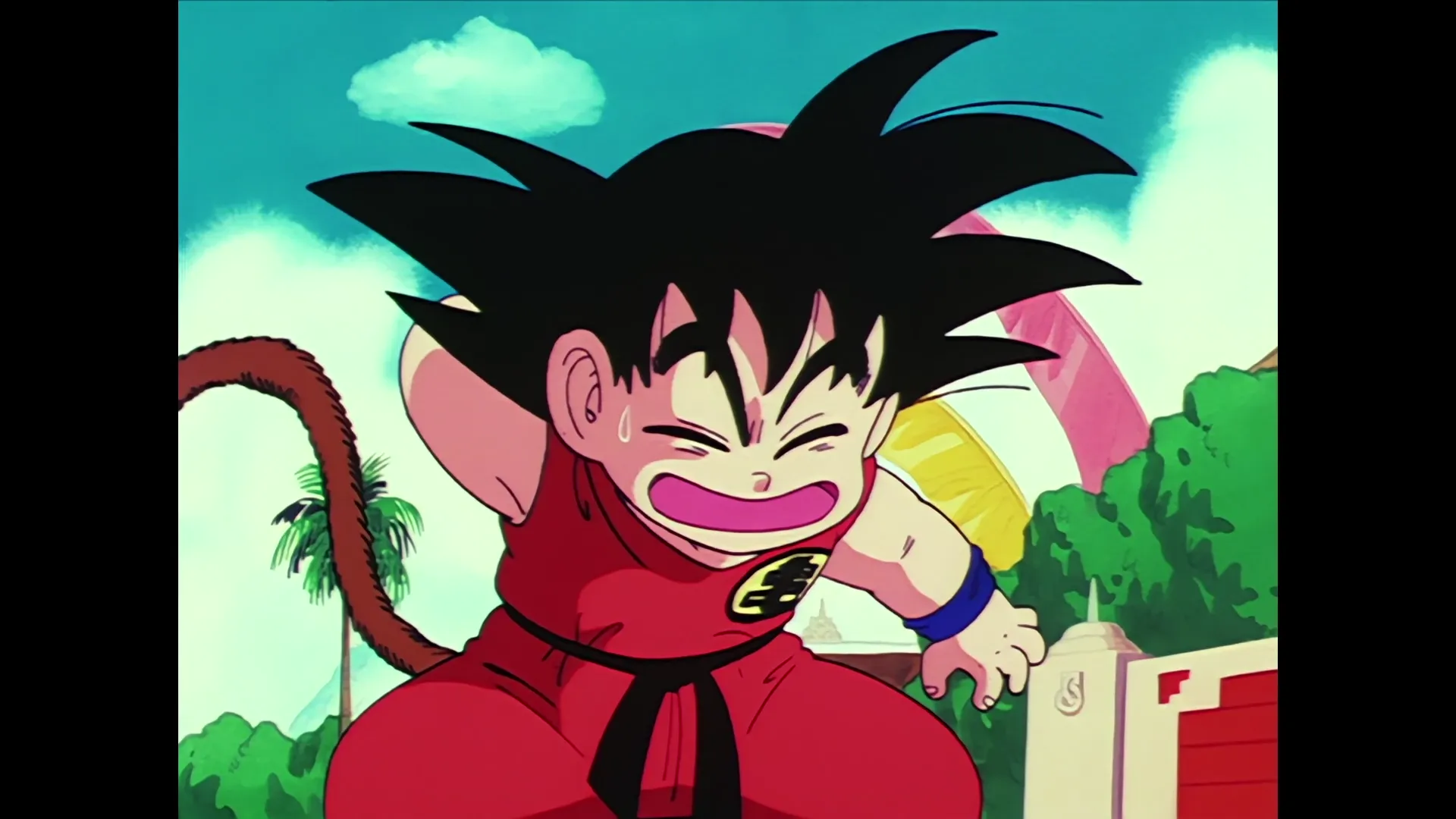 The spirit cannon — capture 4 sur 30 (Dragon Ball)