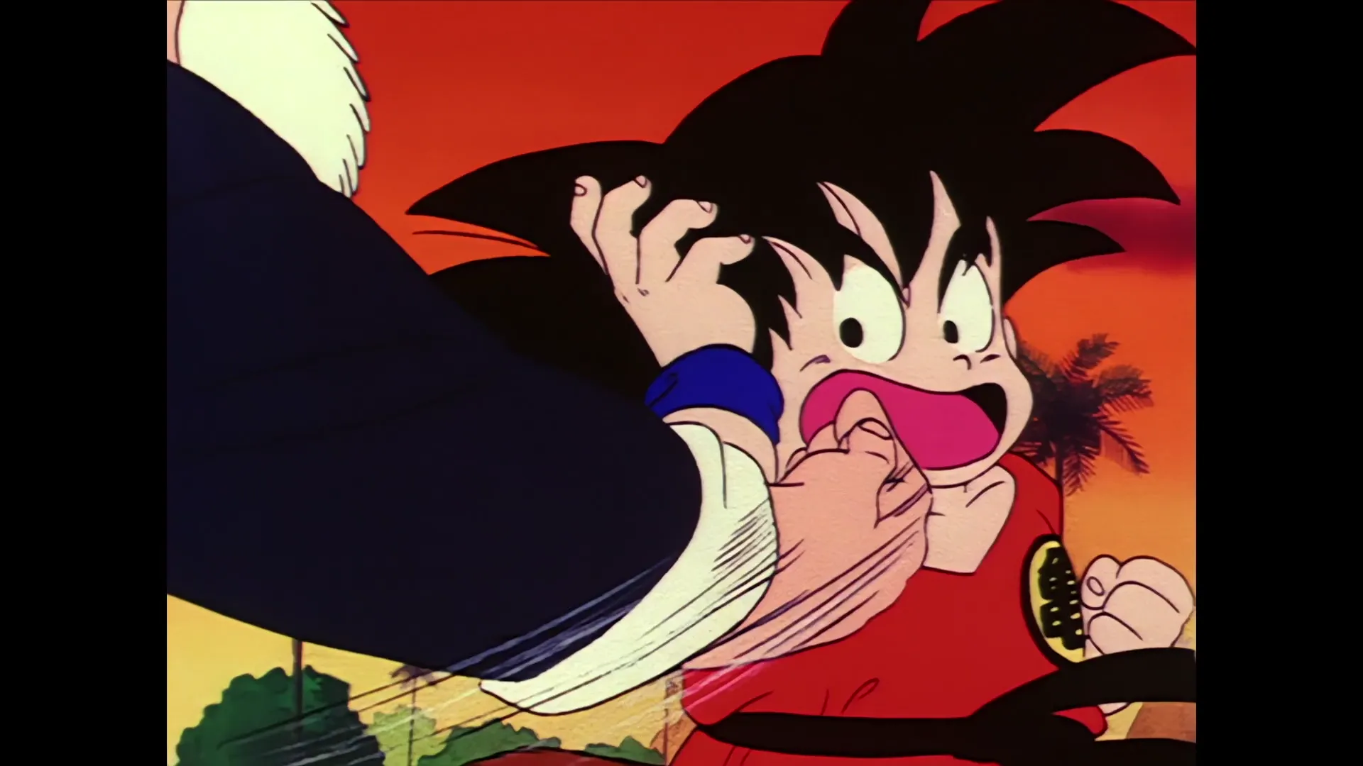 The spirit cannon — capture 12 sur 30 (Dragon Ball)