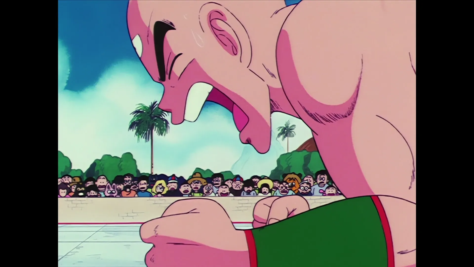 The spirit cannon — capture 20 sur 30 (Dragon Ball)
