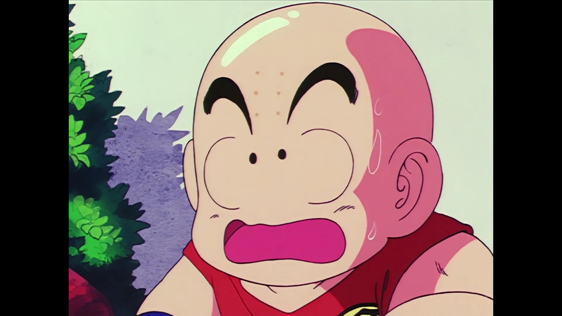The spirit cannon — capture 25 sur 30 (Dragon Ball)