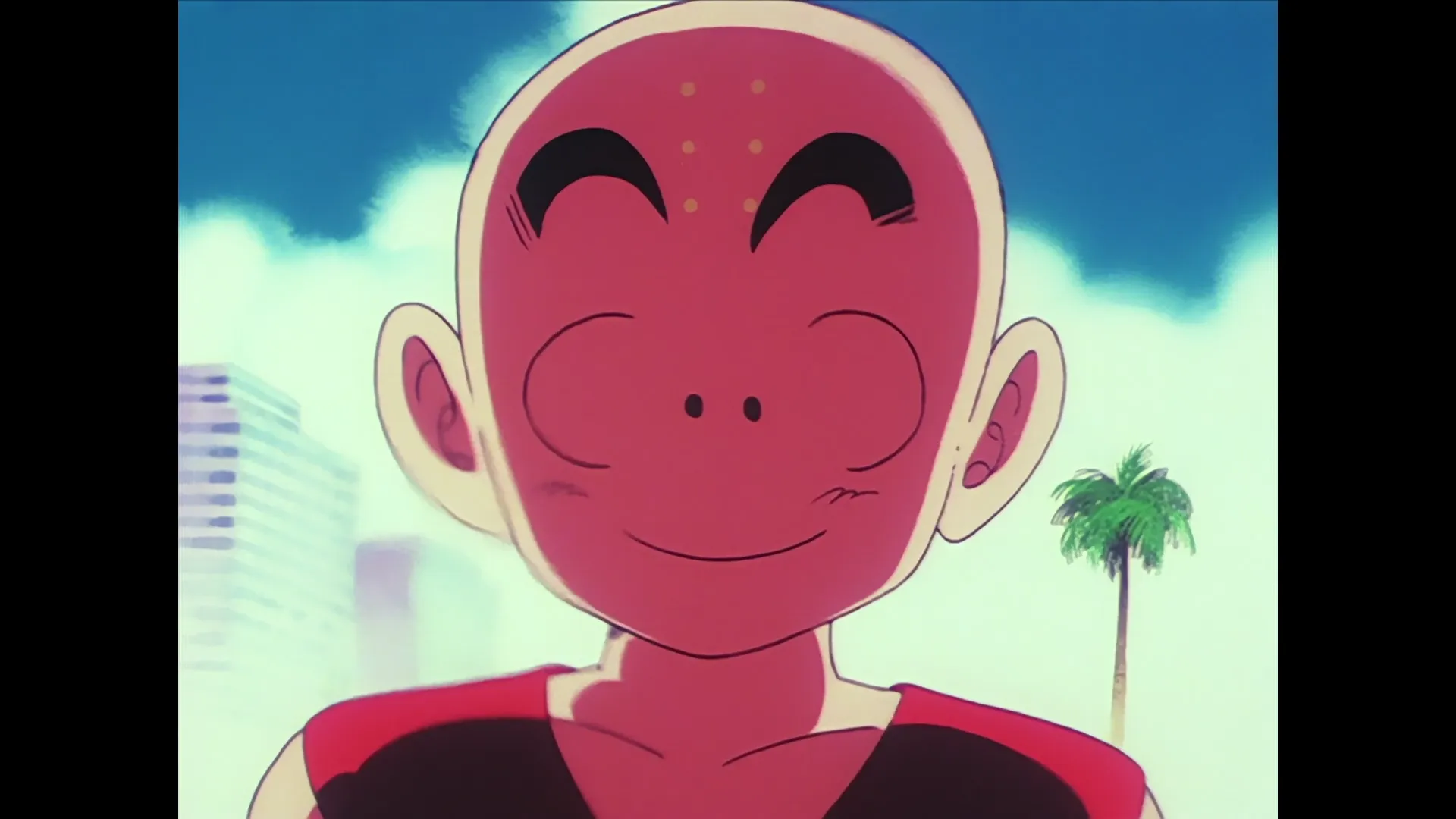 The fallen — capture 17 sur 30 (Dragon Ball)