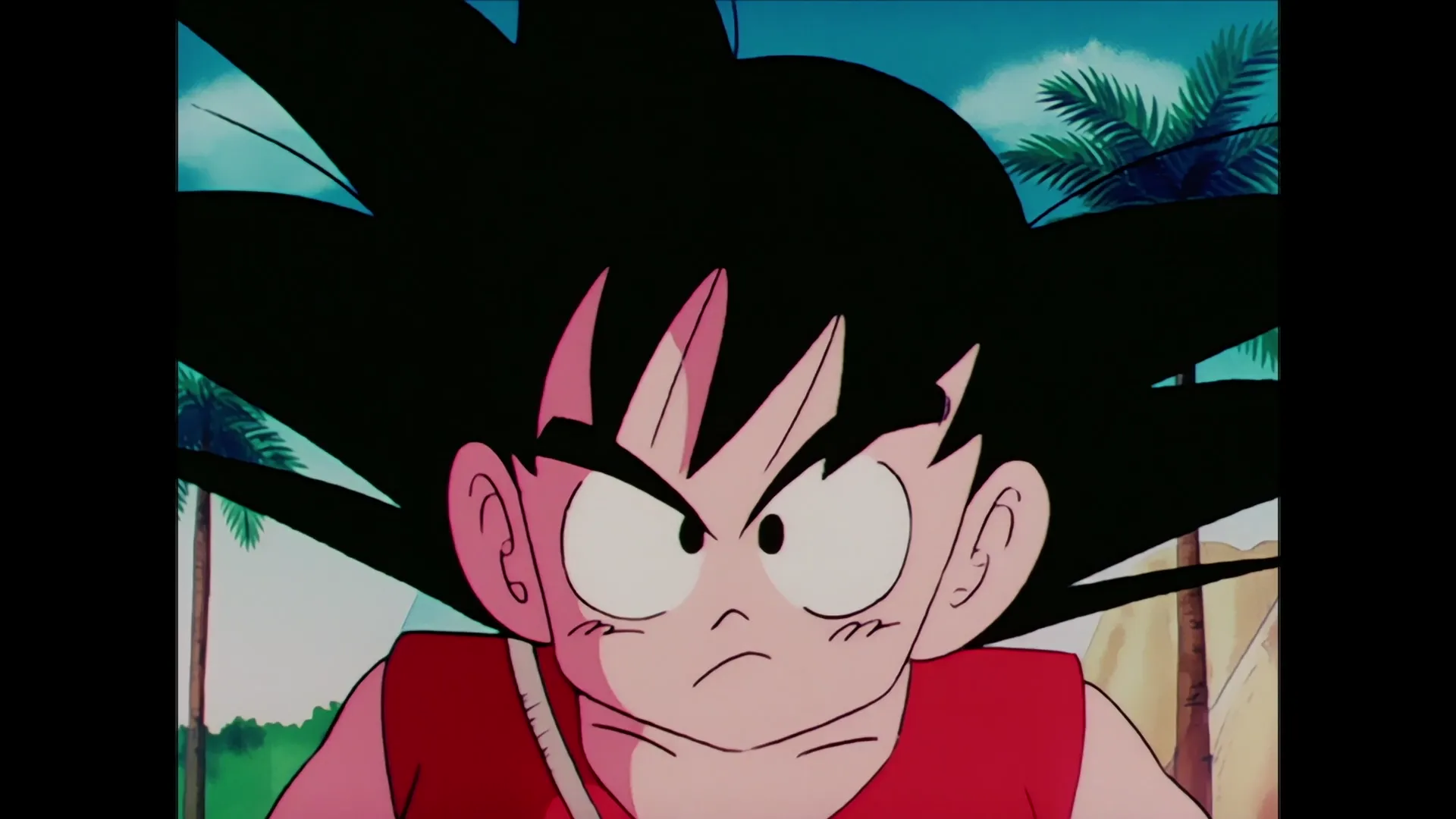 Here comes yajirobe — capture 22 sur 30 (Dragon Ball)