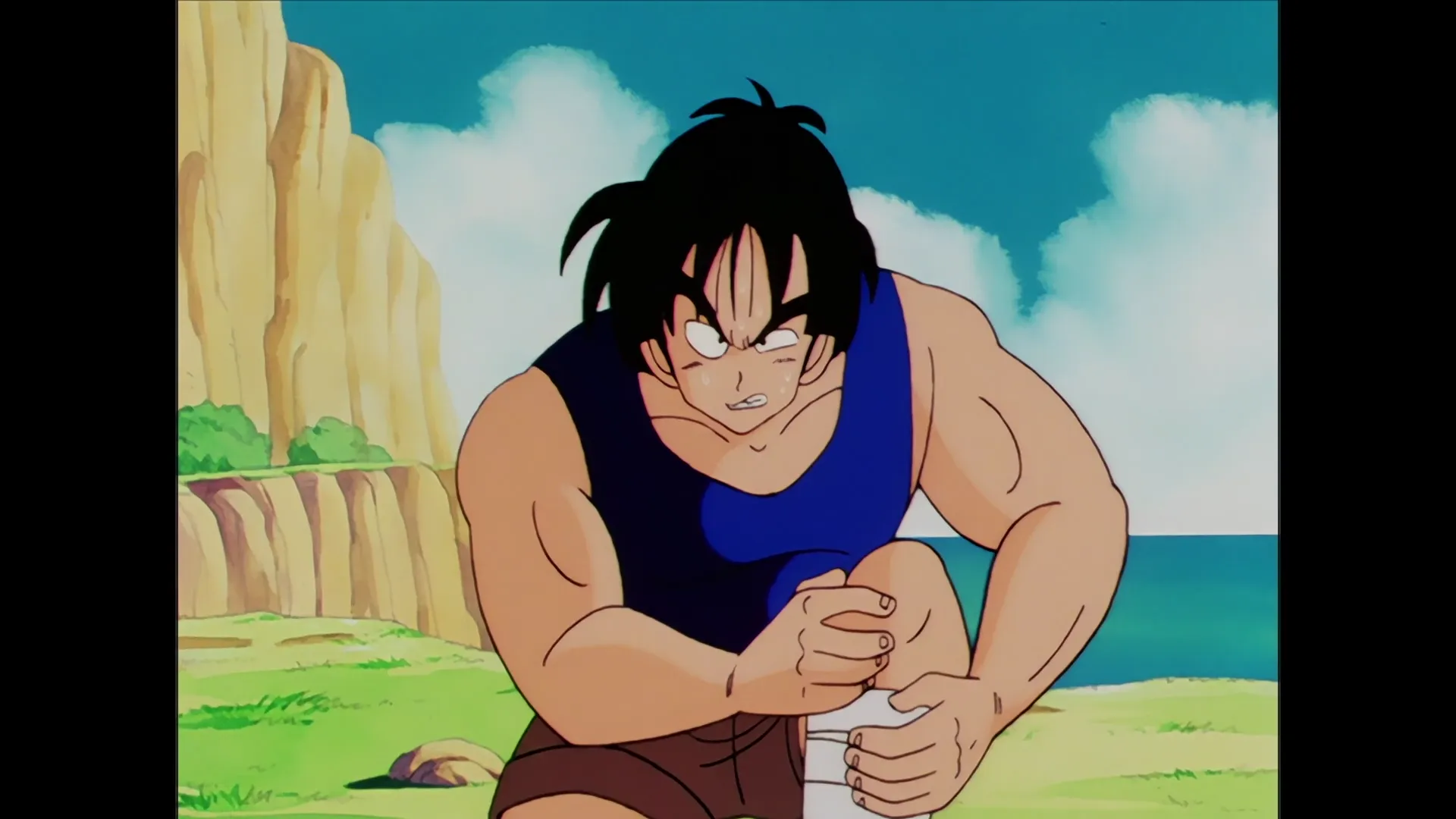 Terrible tambourine — capture 26 sur 30 (Dragon Ball)