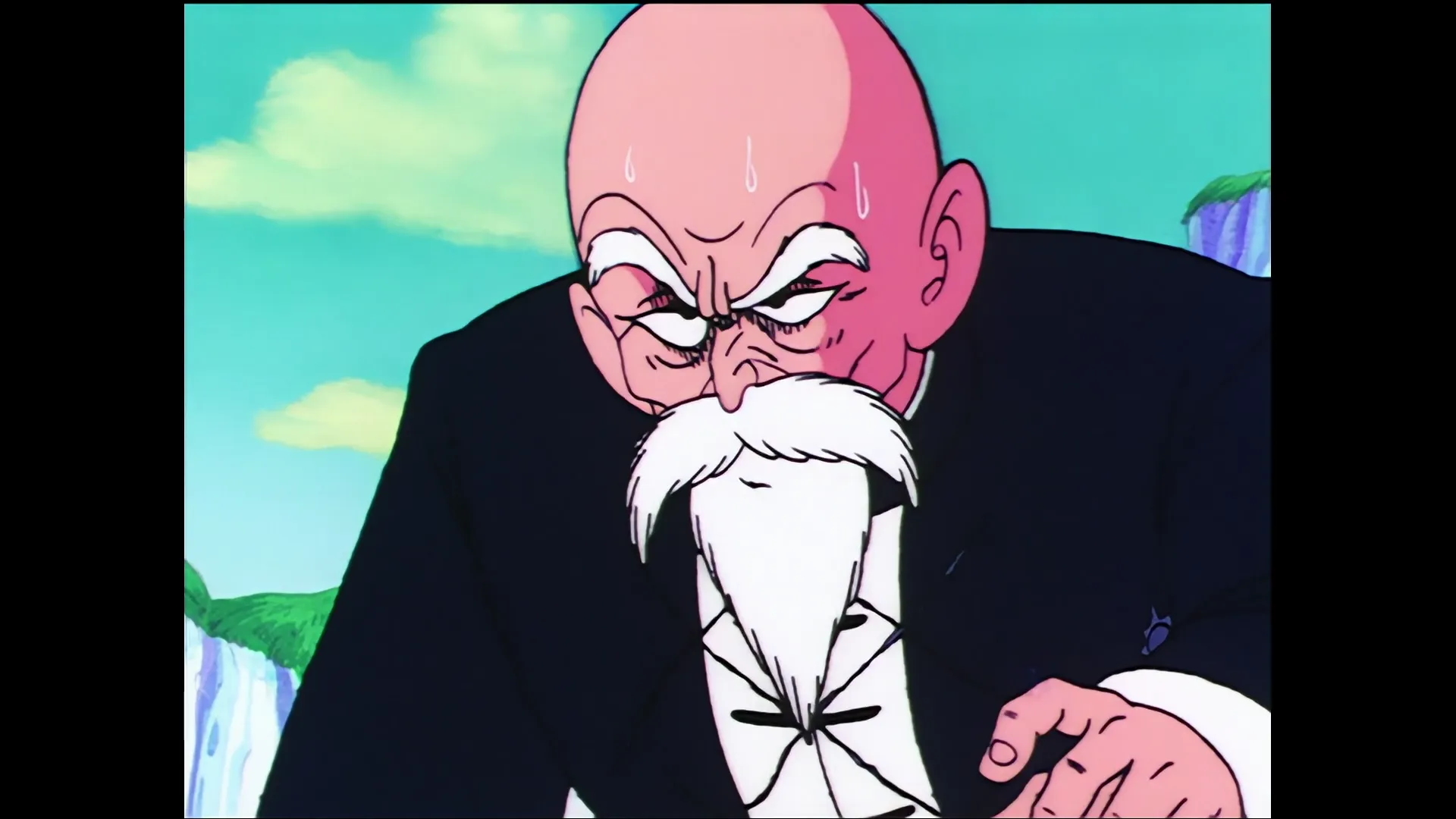 Roshis gambit — capture 24 sur 30 (Dragon Ball)