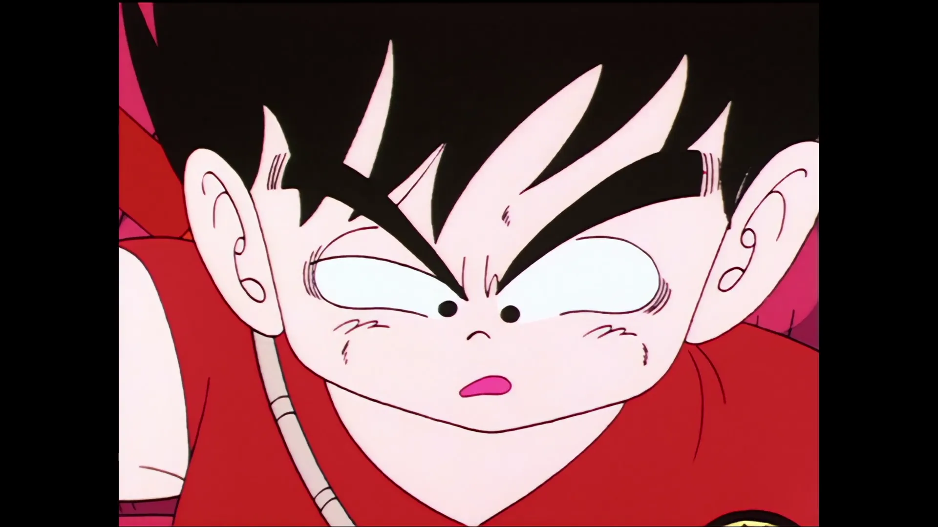 Roshis gambit — capture 25 sur 30 (Dragon Ball)