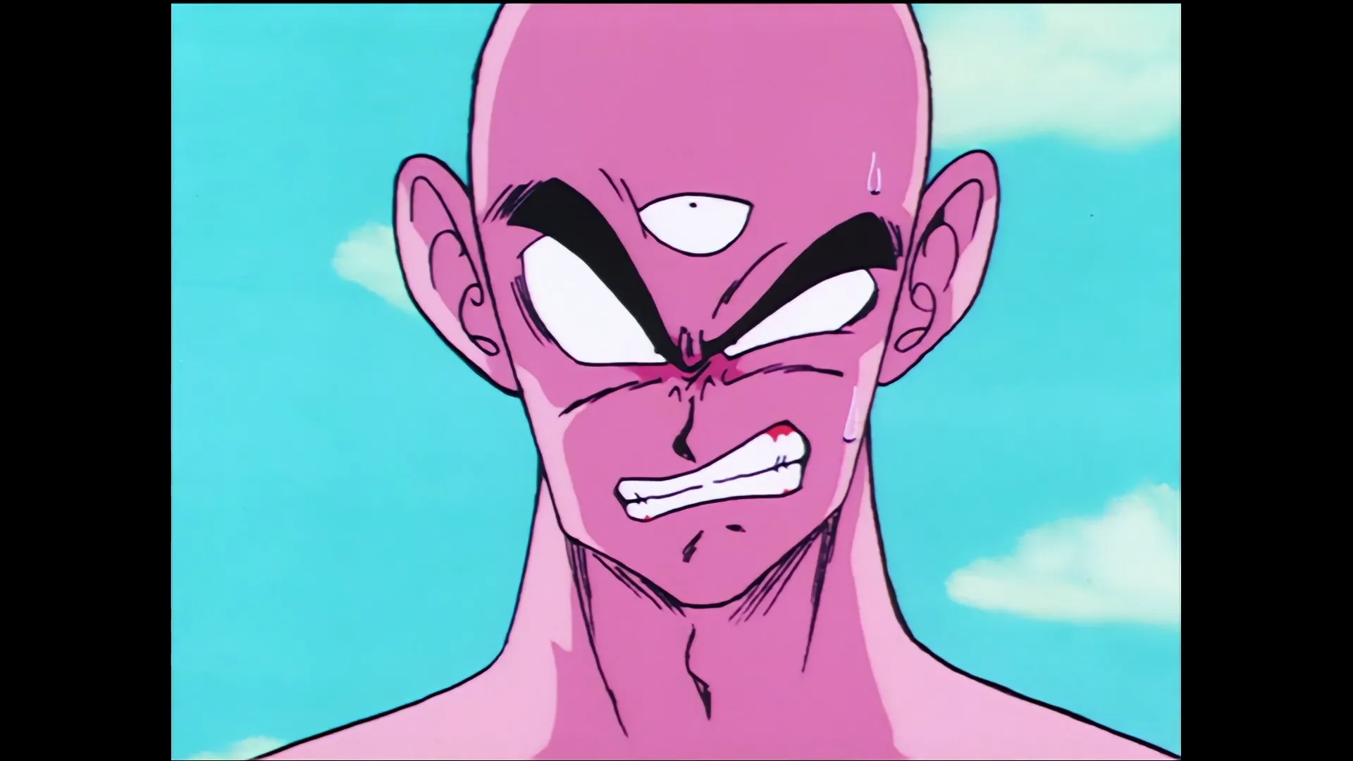 King piccolos wish — capture 23 sur 30 (Dragon Ball)
