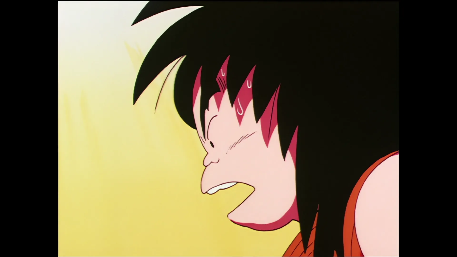 A taste of destiny — capture 25 sur 30 (Dragon Ball)