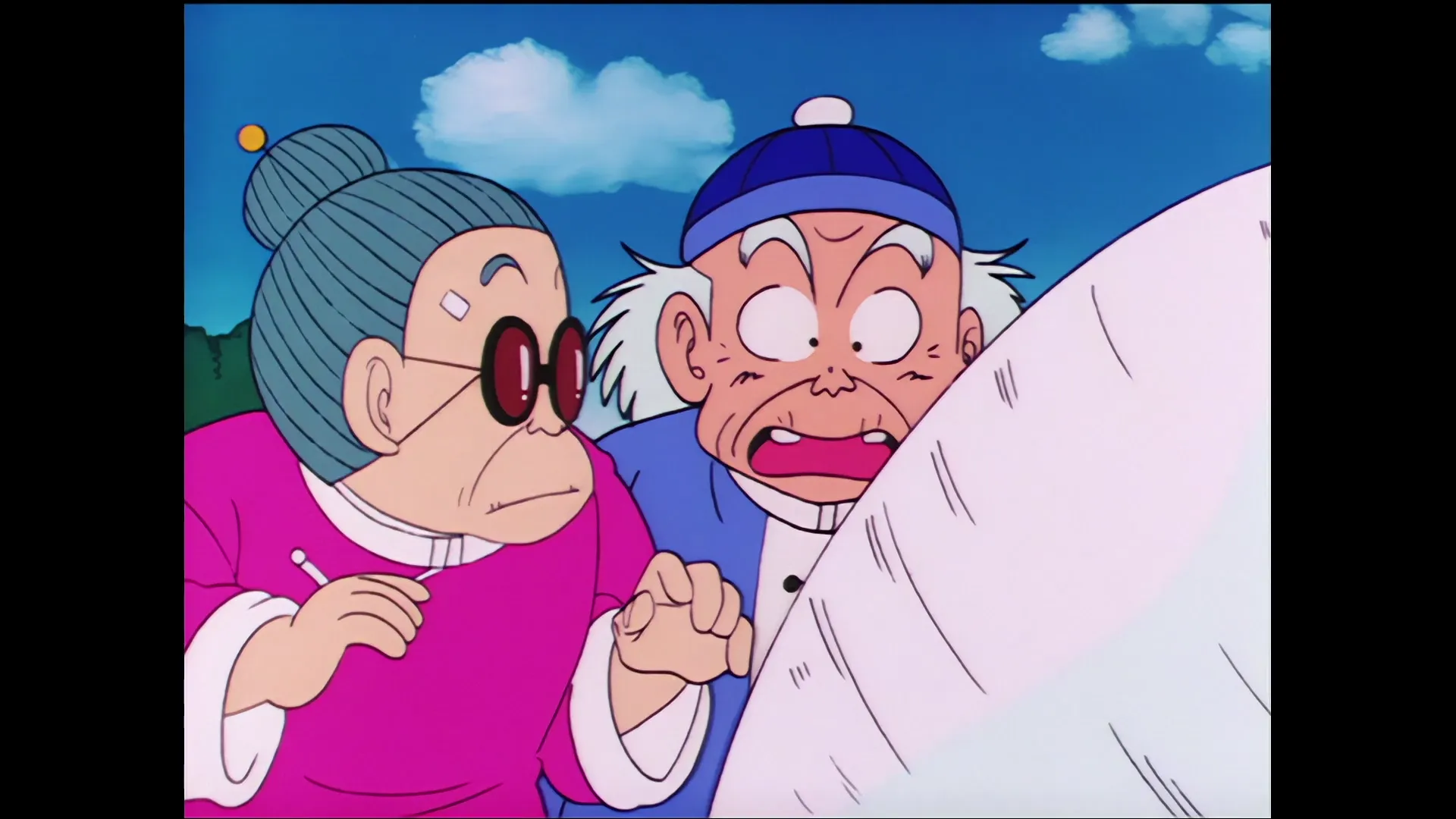 Lost and found — capture 12 sur 30 (Dragon Ball)