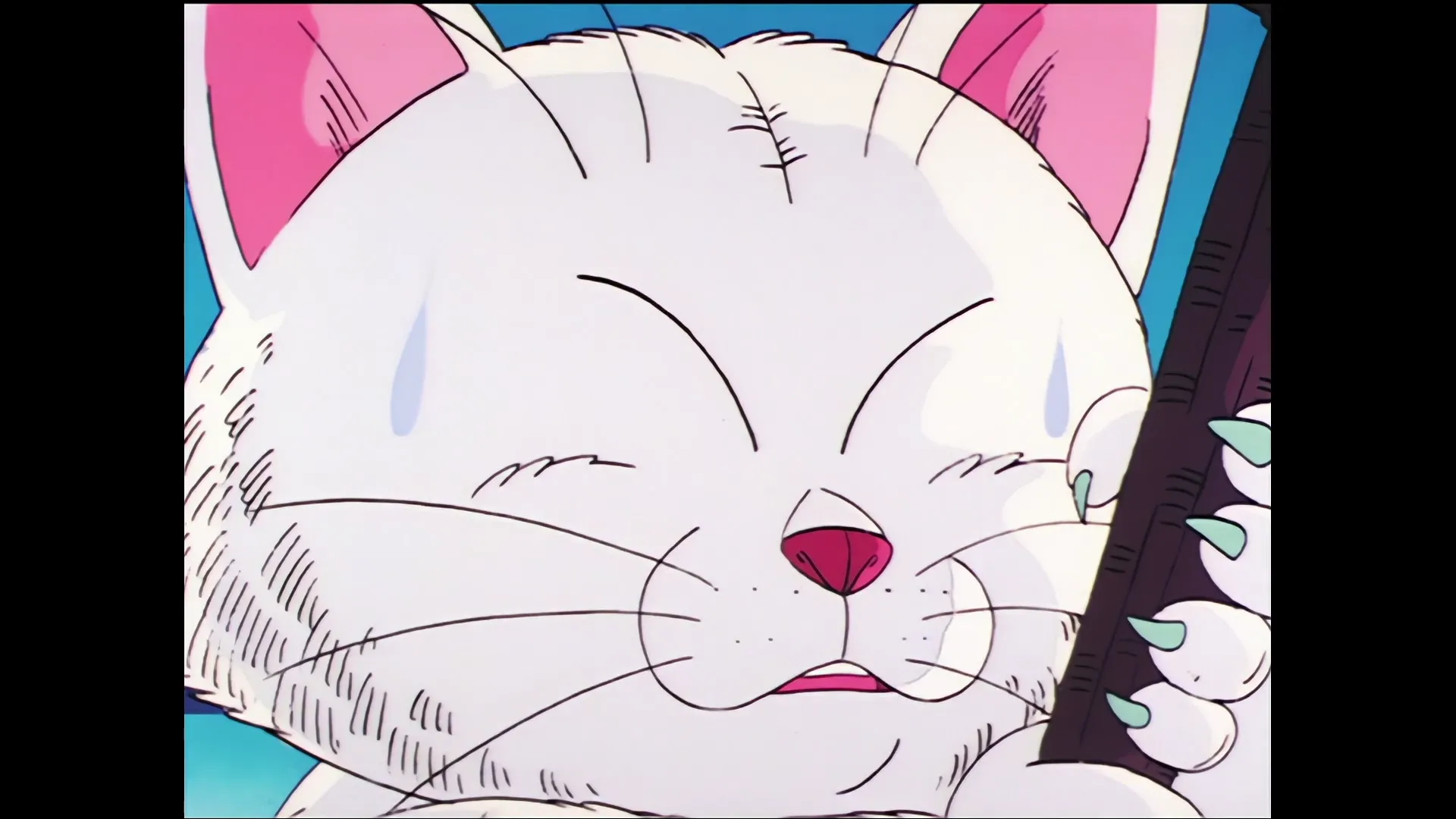 Lost and found — capture 17 sur 30 (Dragon Ball)