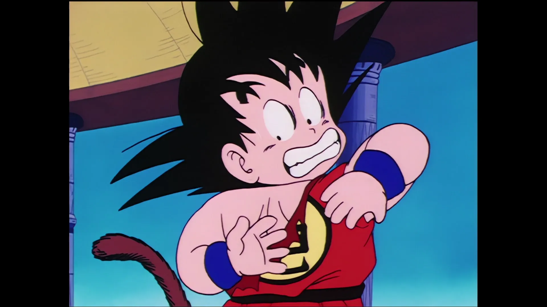 Lost and found — capture 23 sur 30 (Dragon Ball)