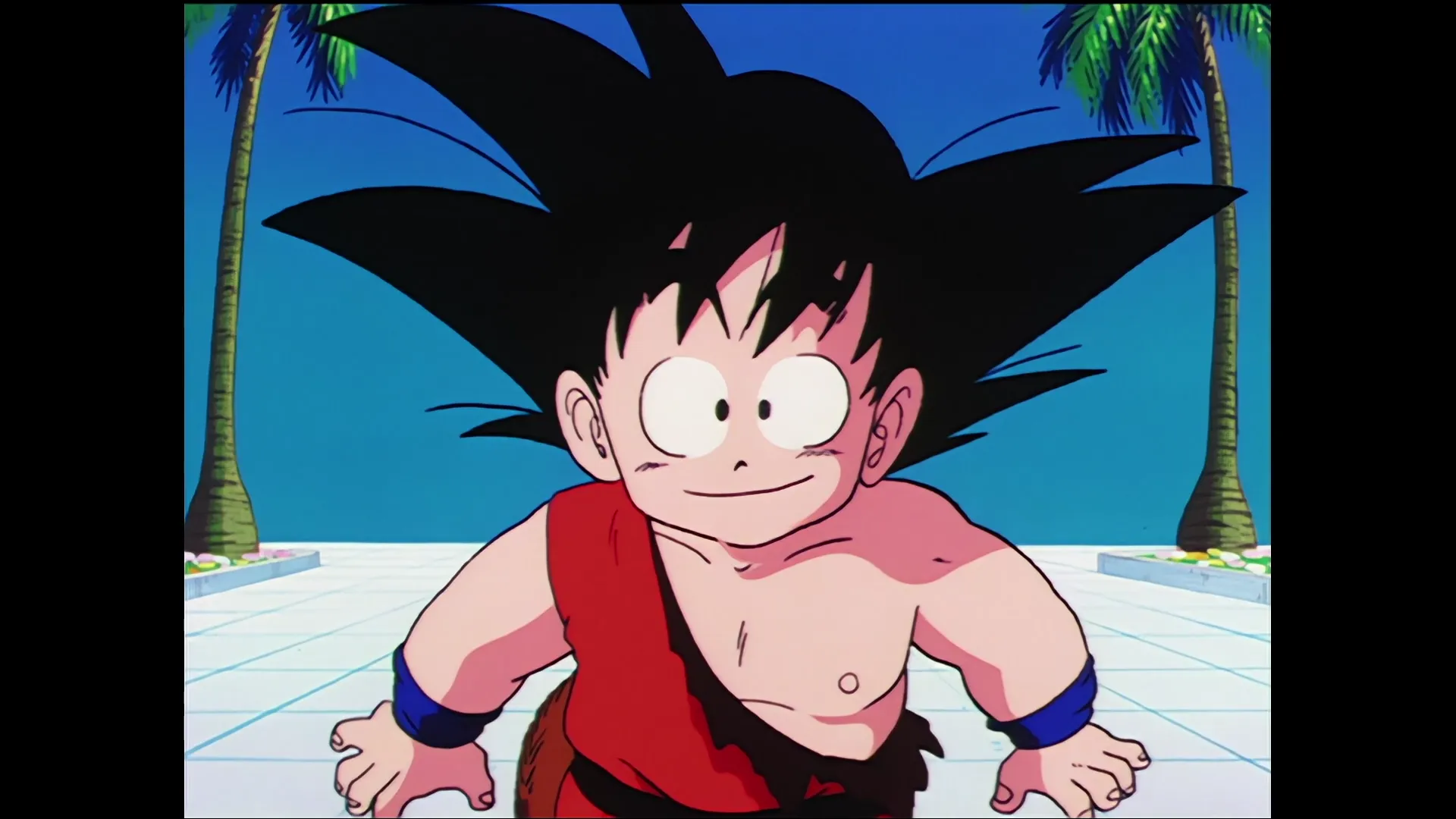 Earths guardian emerges — capture 3 sur 30 (Dragon Ball)